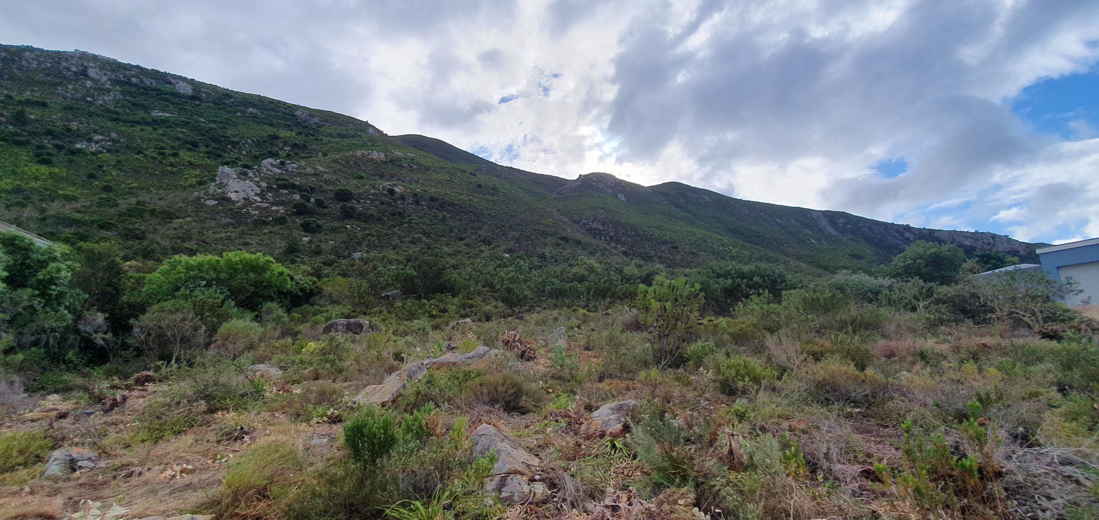 Image 5 of 6