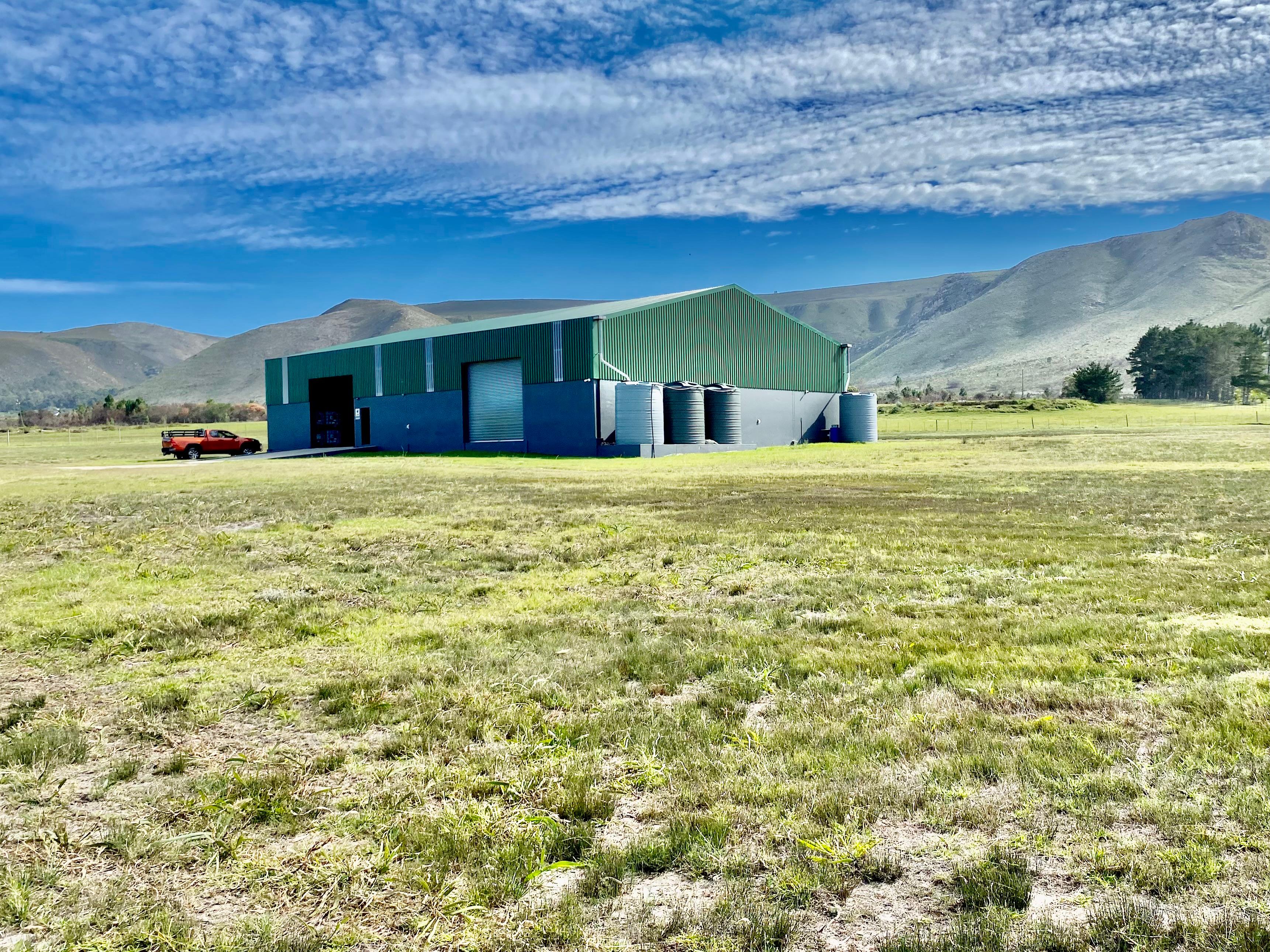Image 2 of 6