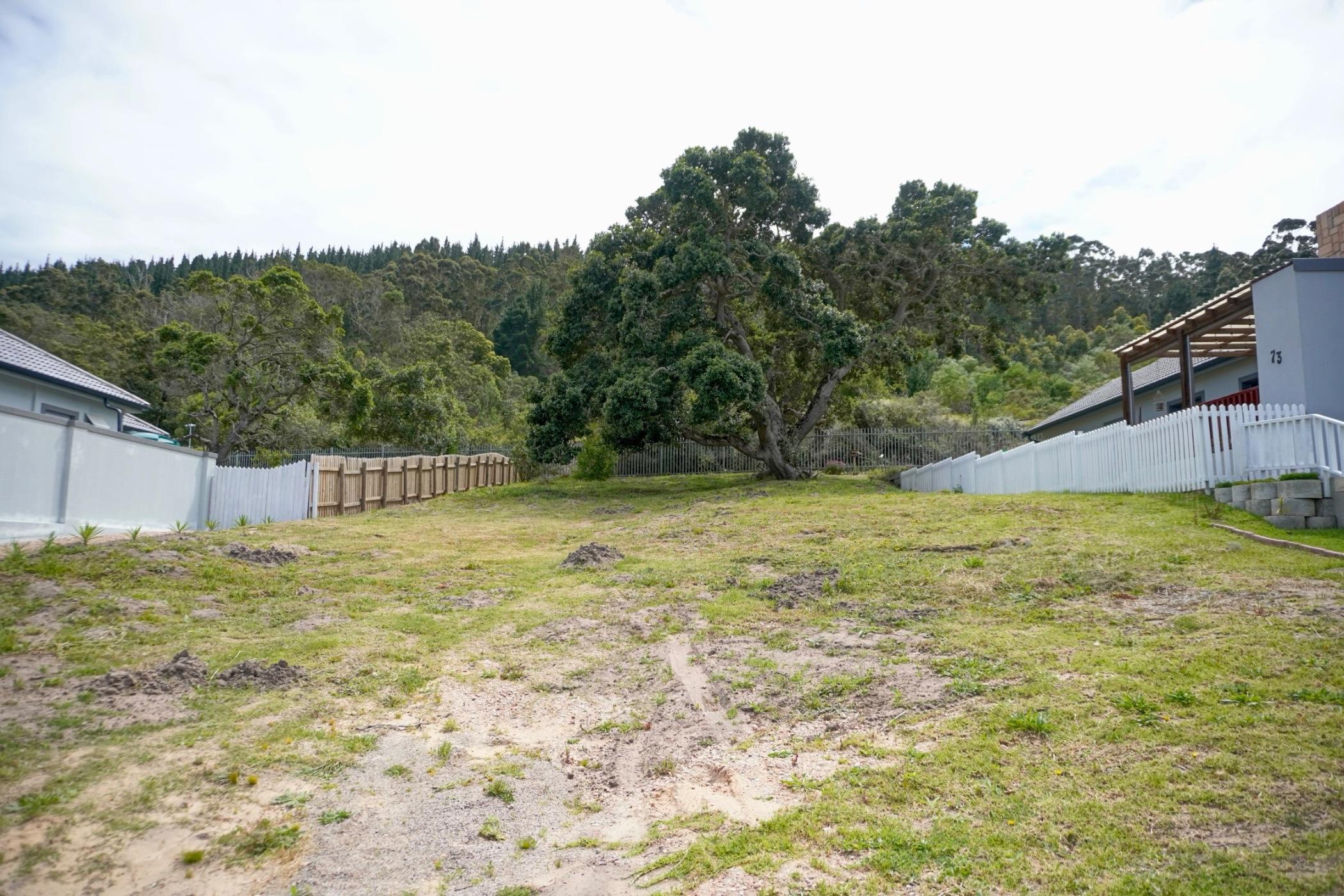 Image 2 of 6