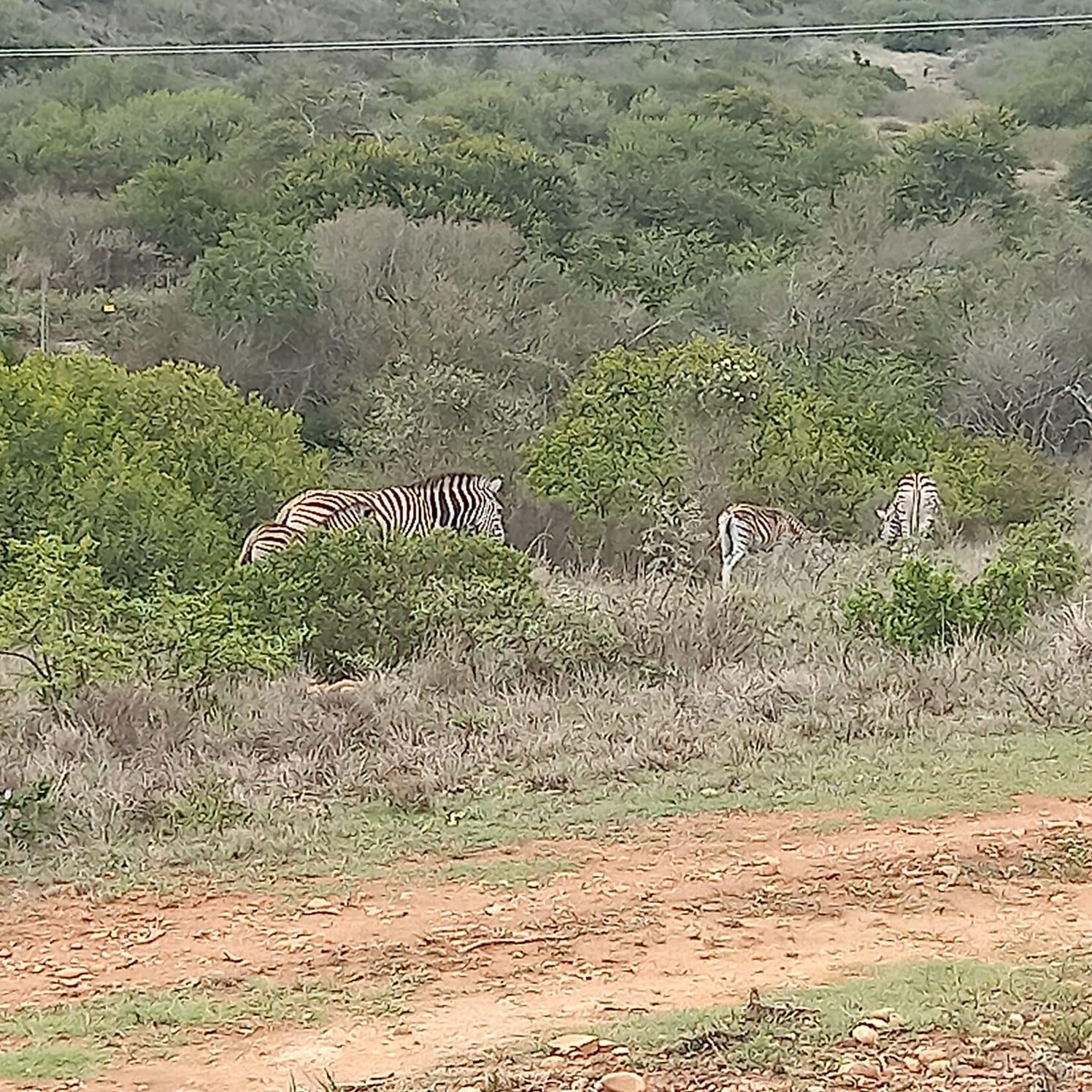 Image 5 of 6