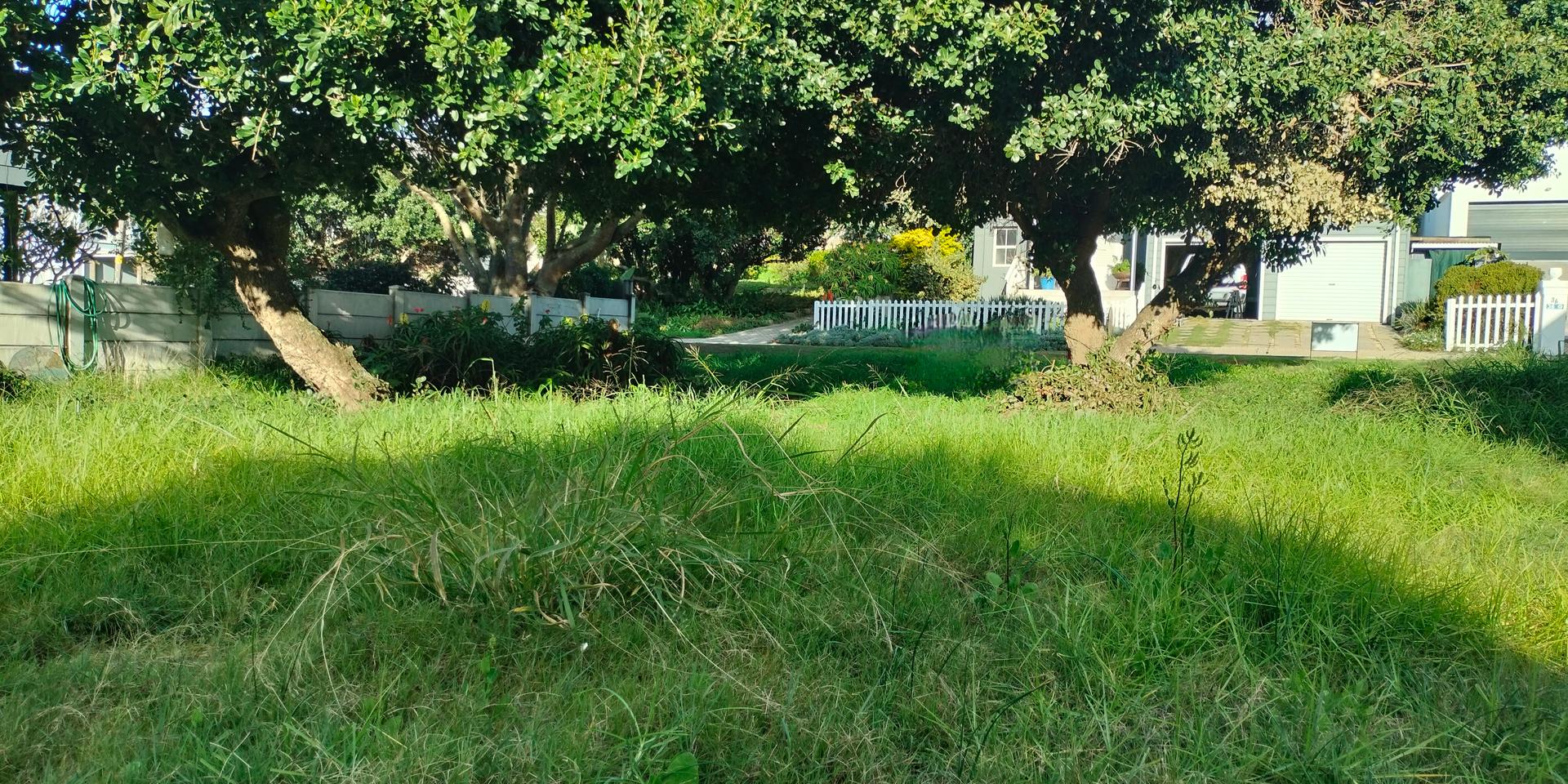 Image 4 of 6