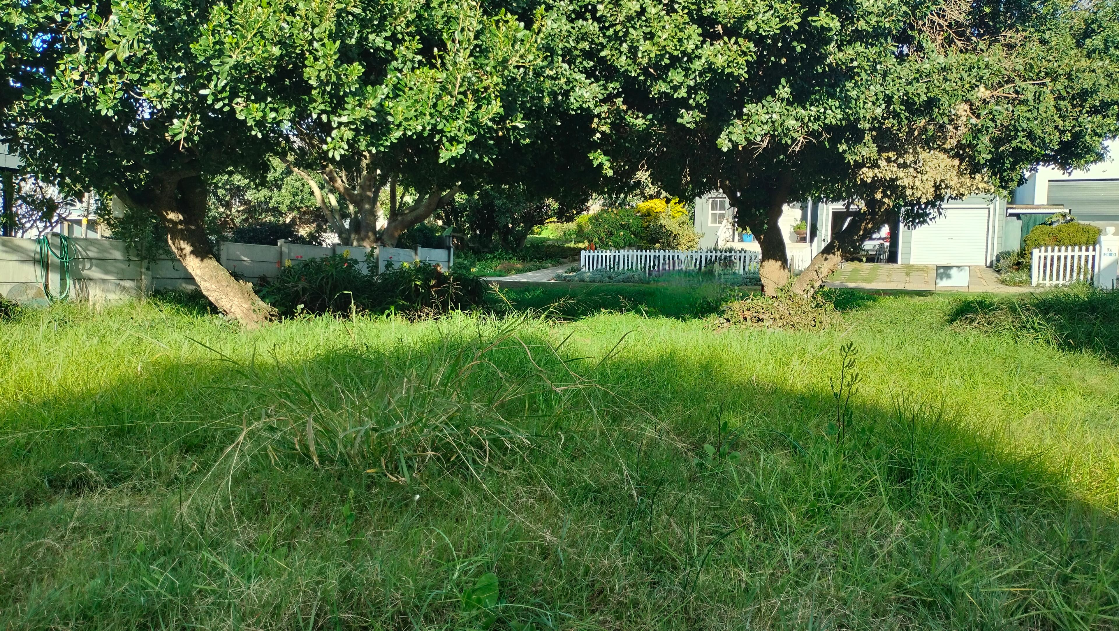 Image 4 of 6