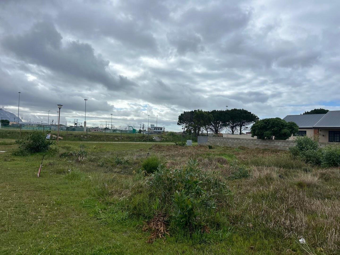 Image 4 of 6
