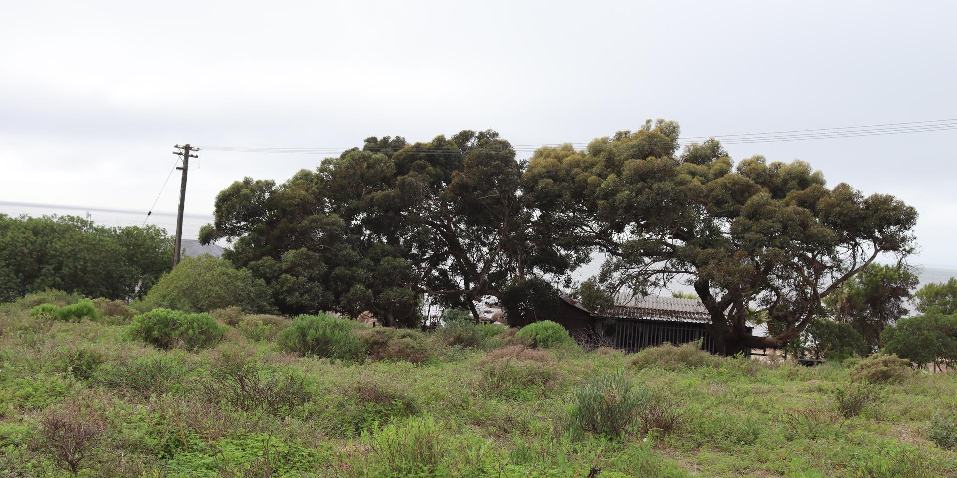 Image 4 of 6