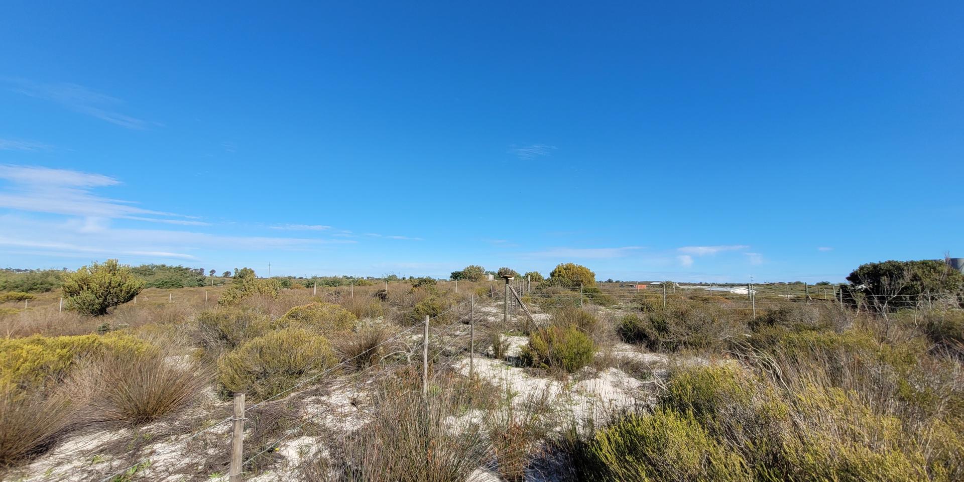 Image 5 of 6