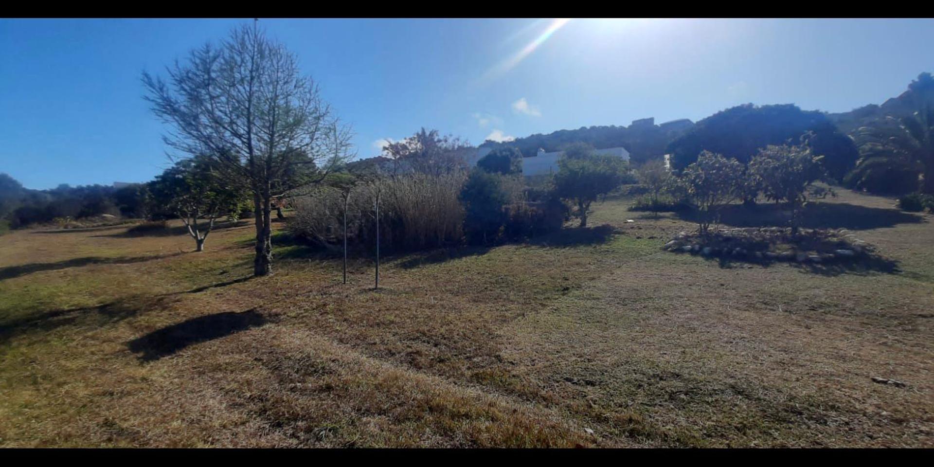 Image 5 of 6
