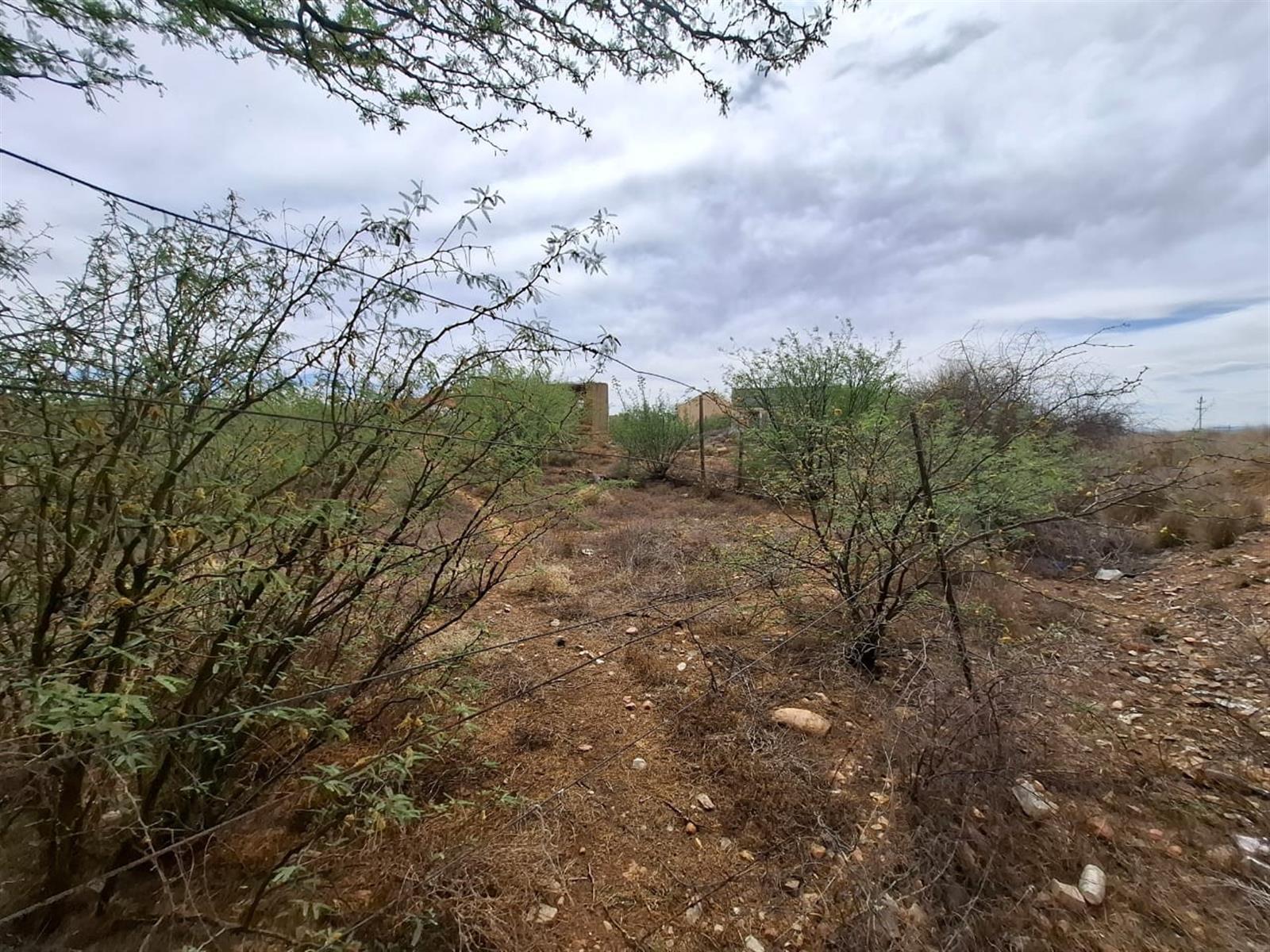 Image 19