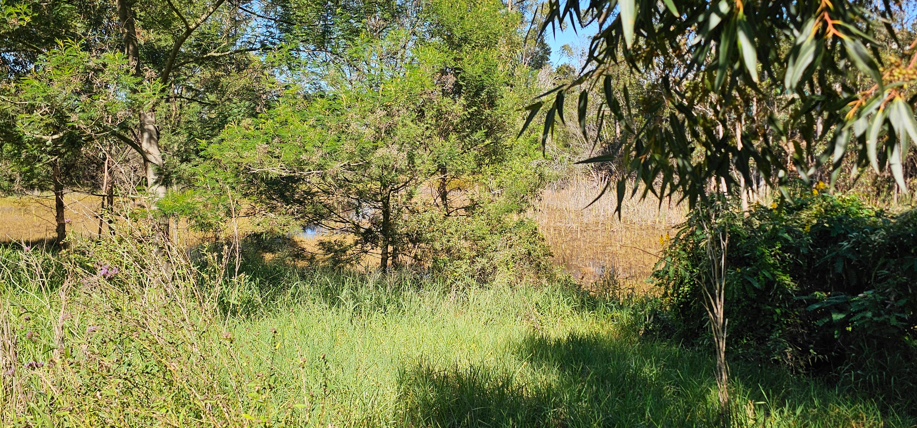 Image 11