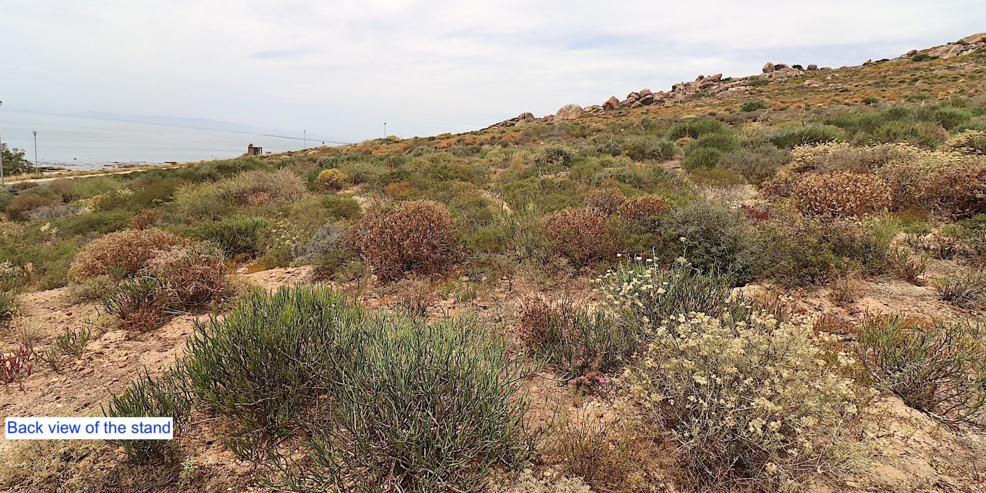 Image 5 of 6