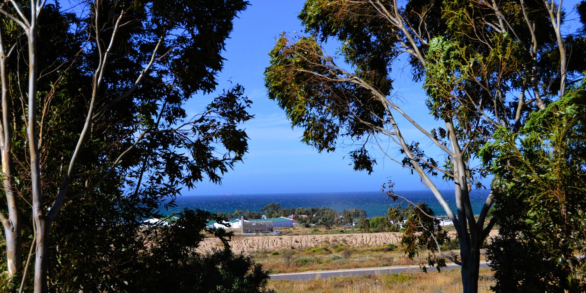 Image 4 of 6