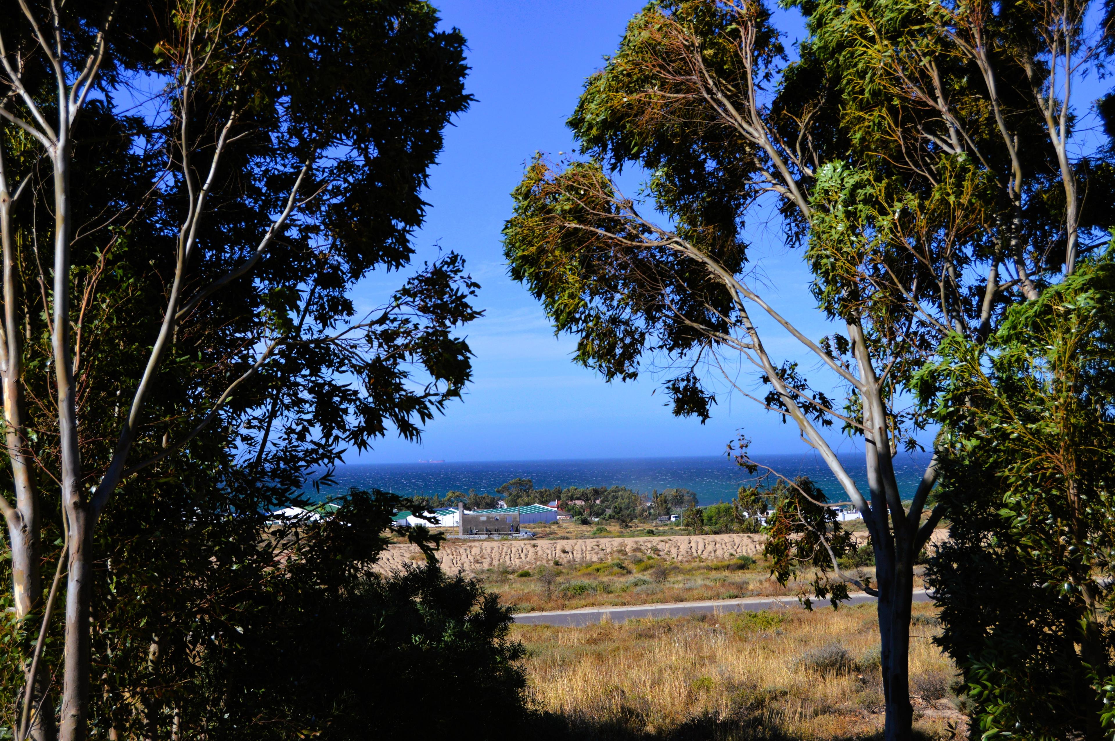 Image 4 of 6