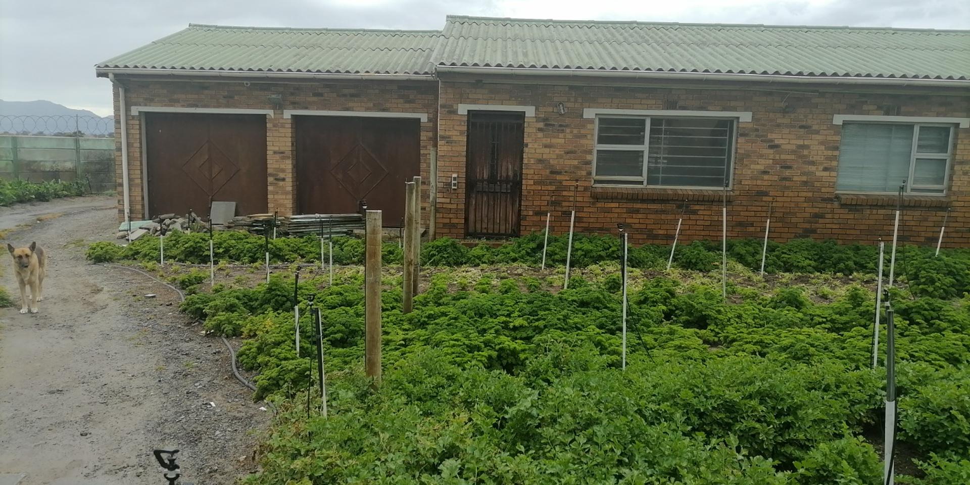 Image 2 of 6