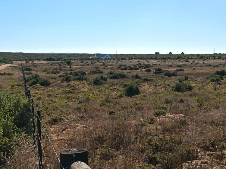 Main property image