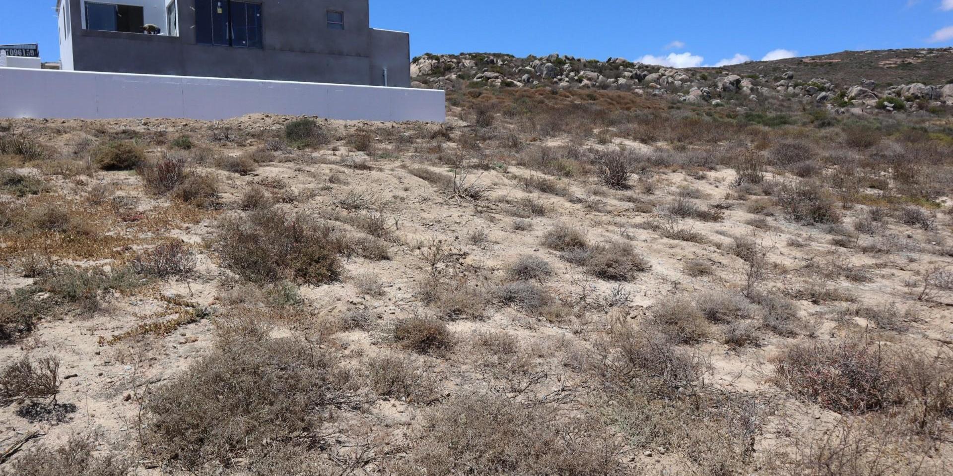 Image 5 of 6