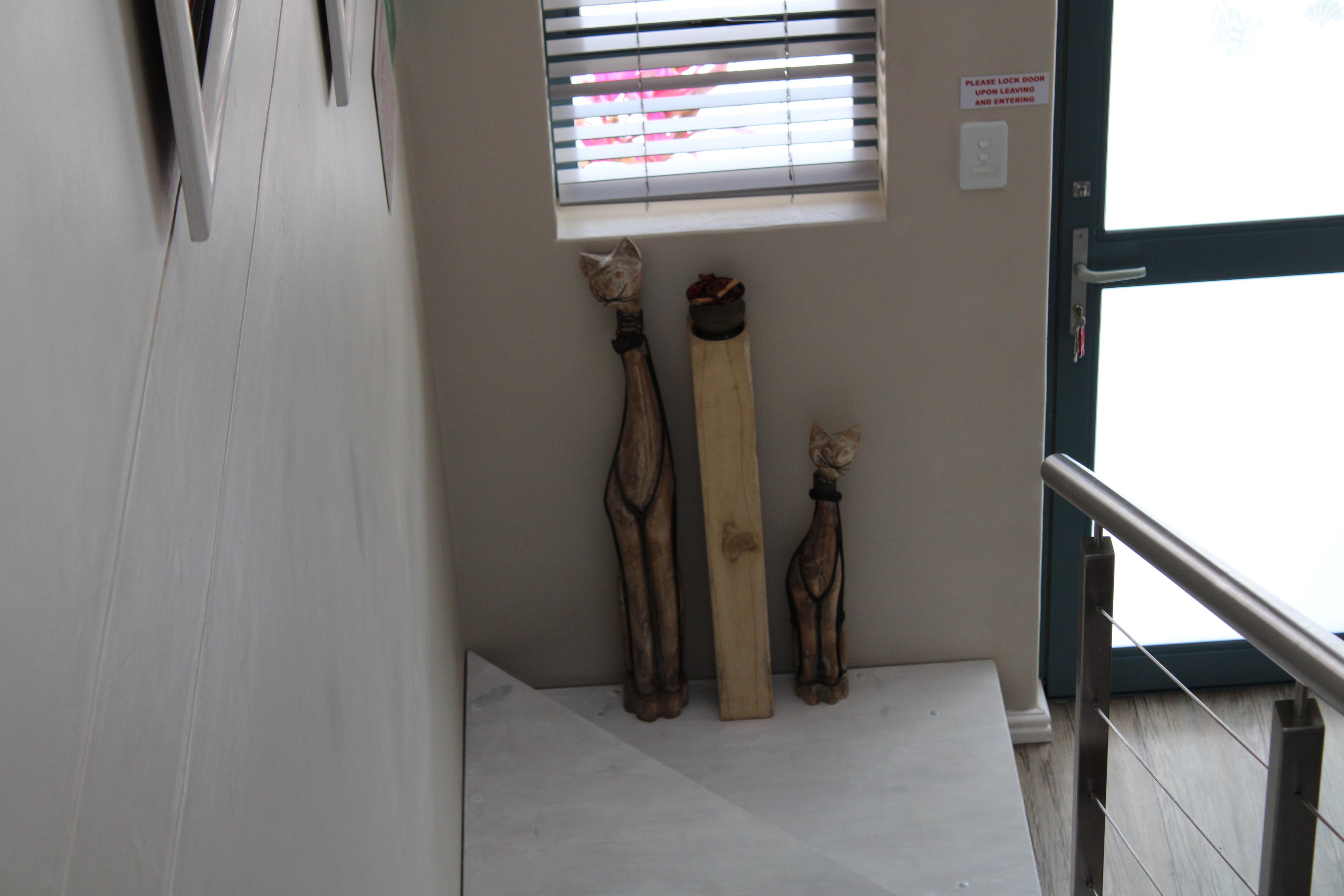 Image 29