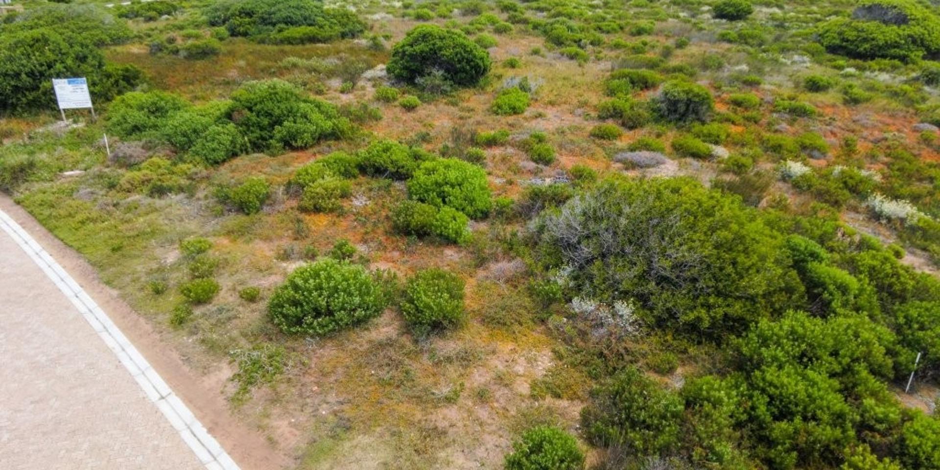 Image 4 of 6
