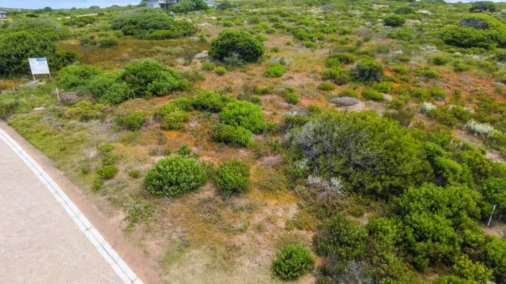 Image 4 of 6