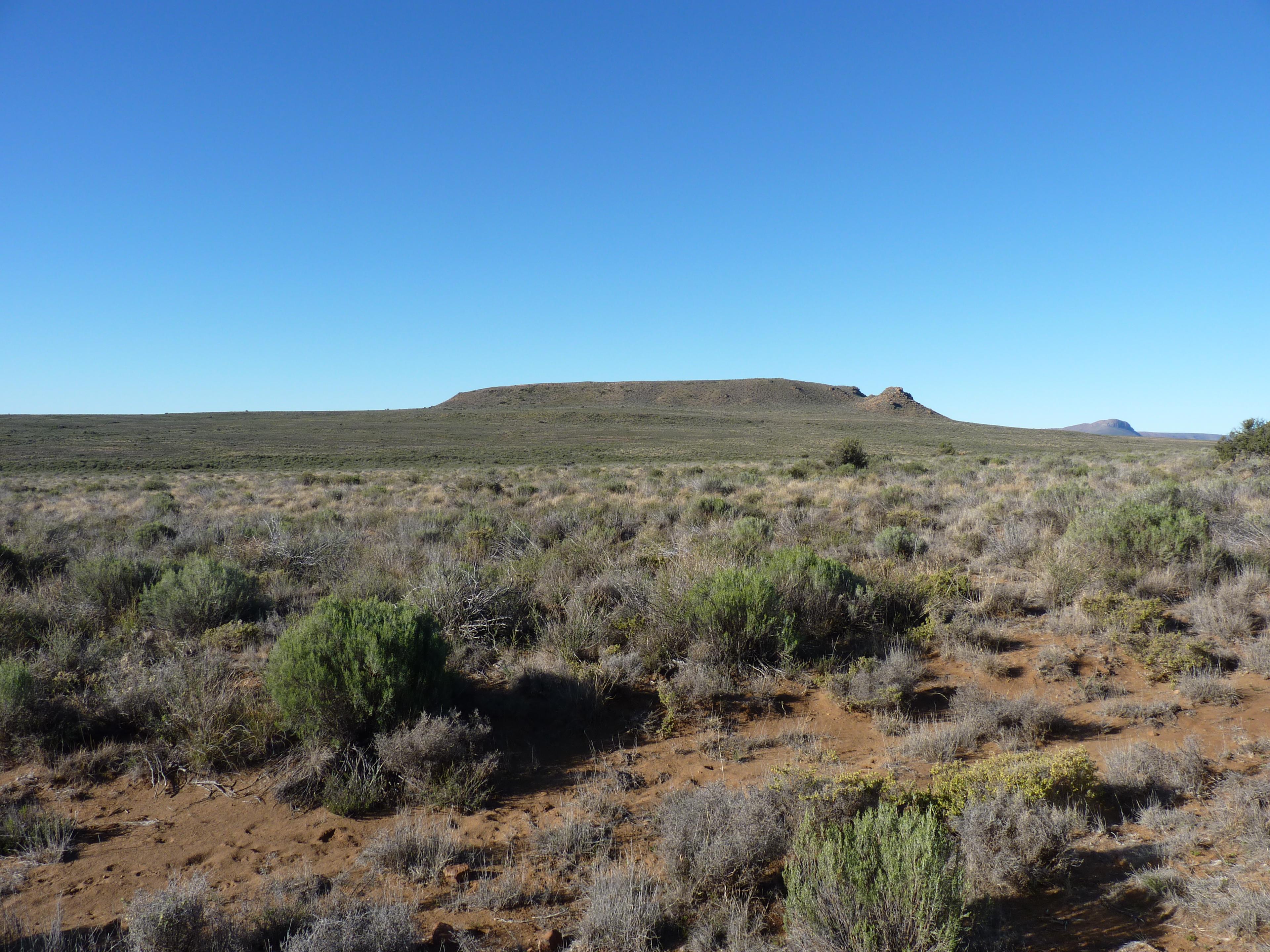 Image 51