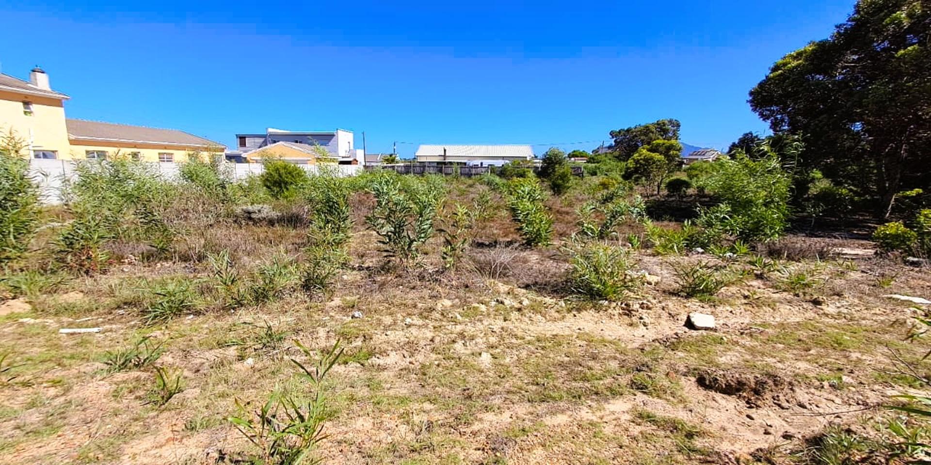 Image 4 of 6