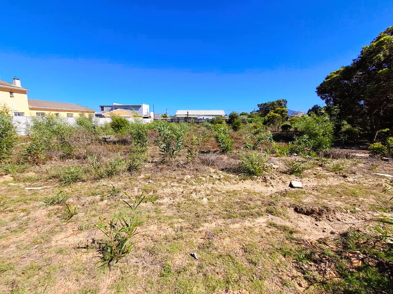 Image 4 of 6