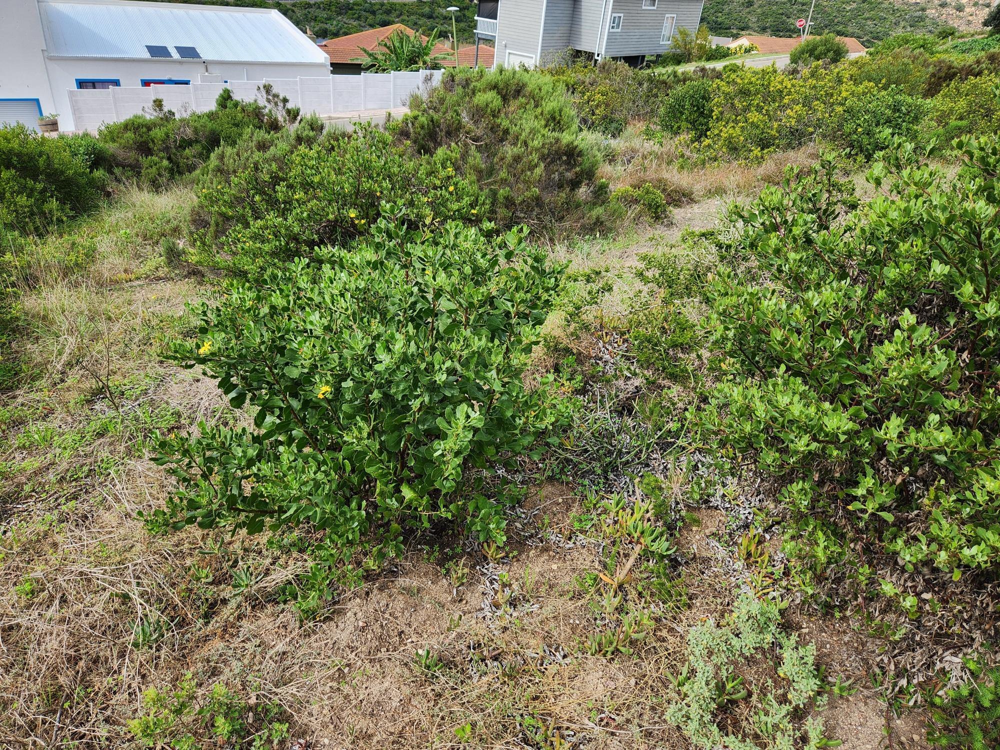 Image 10