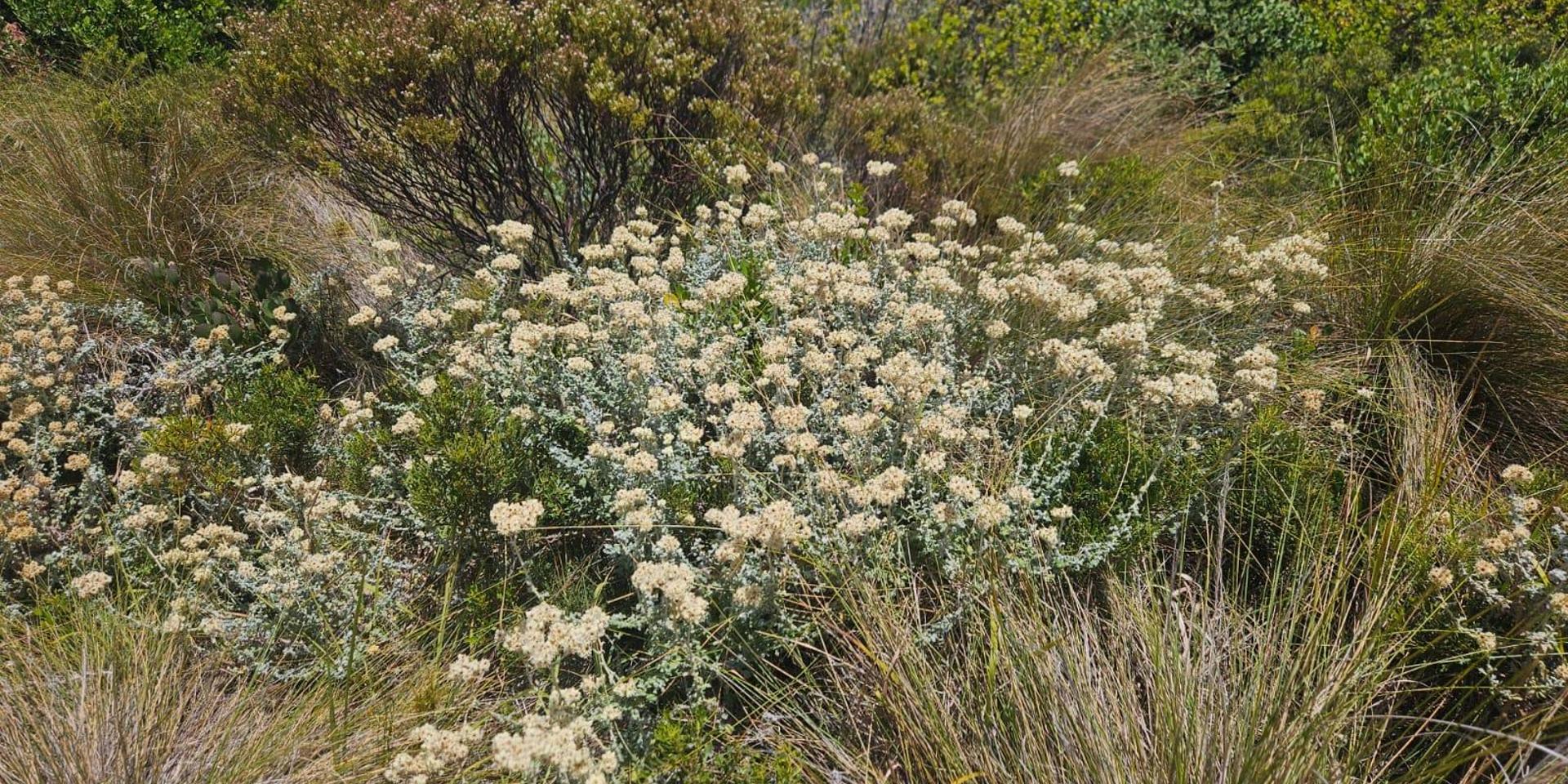 Image 4 of 6
