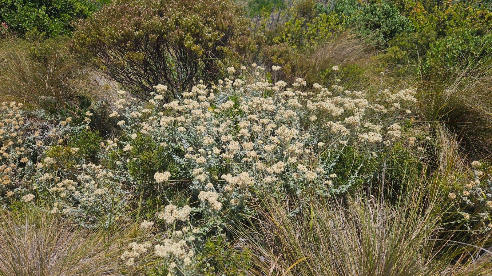 Image 4 of 6