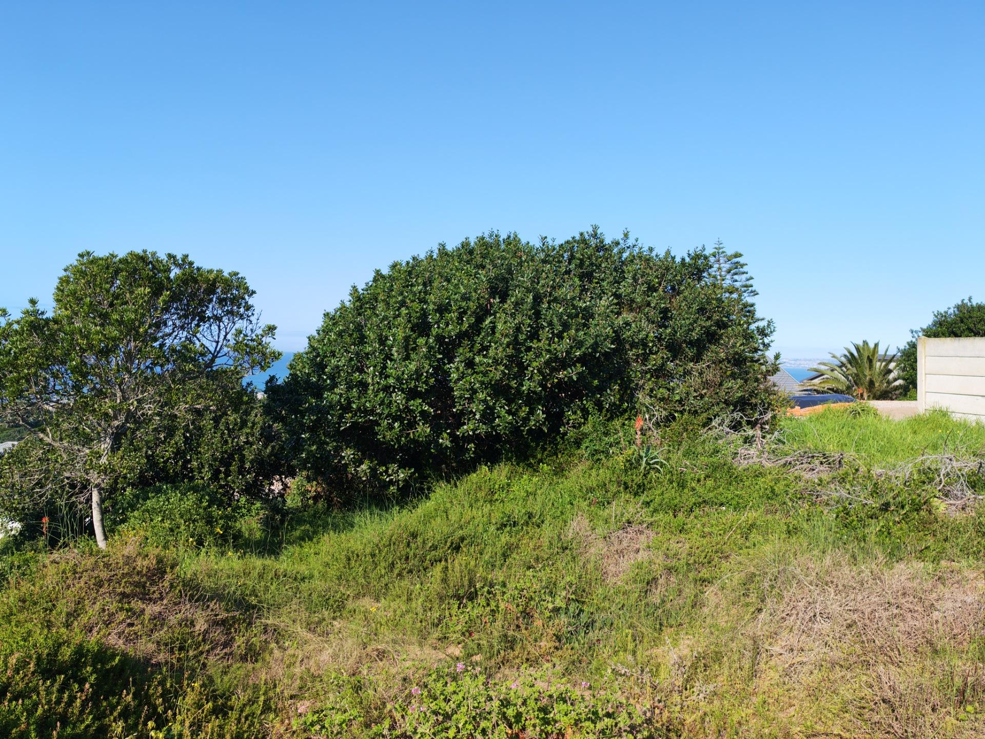 Image 13