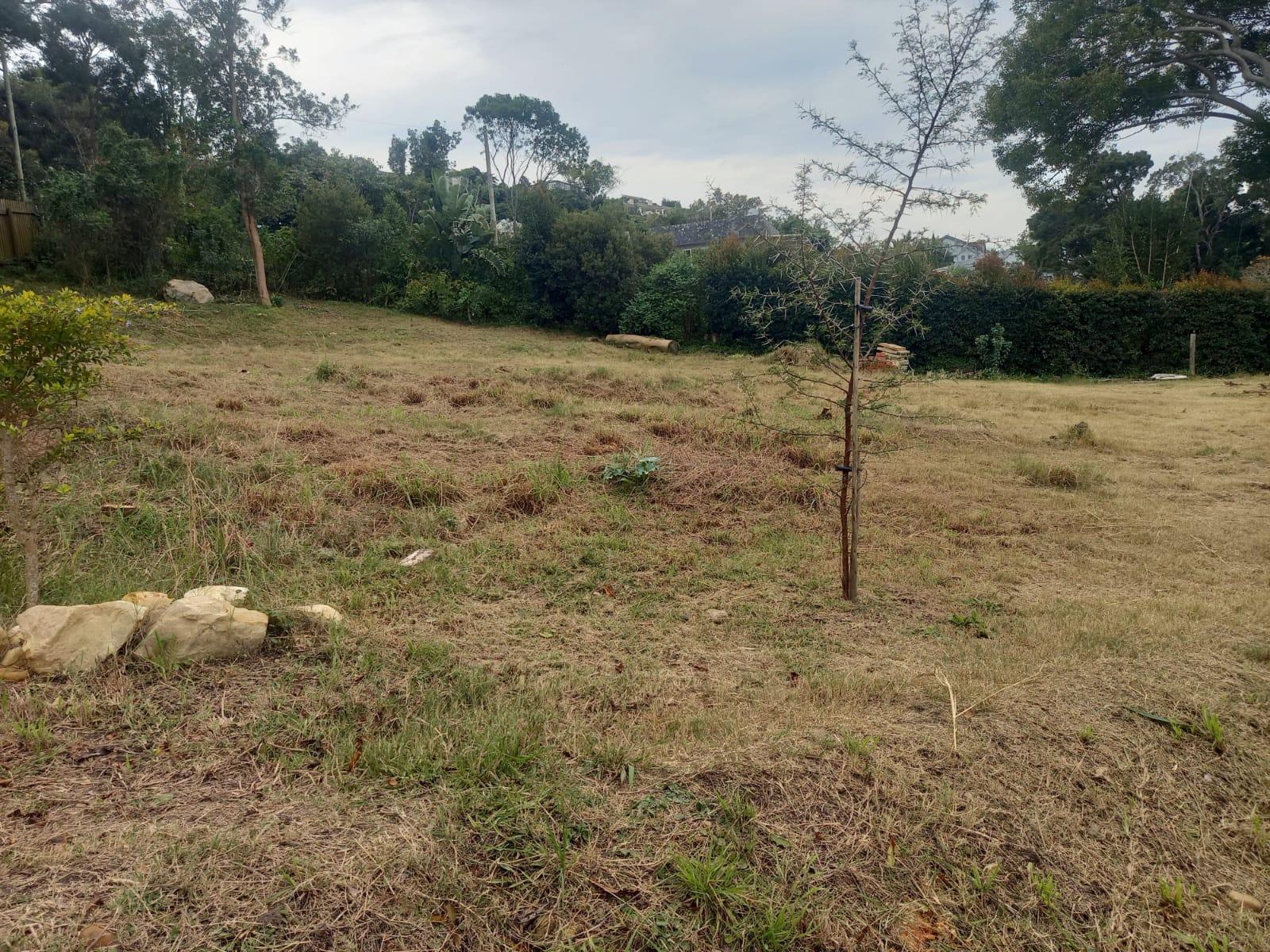 Image 18