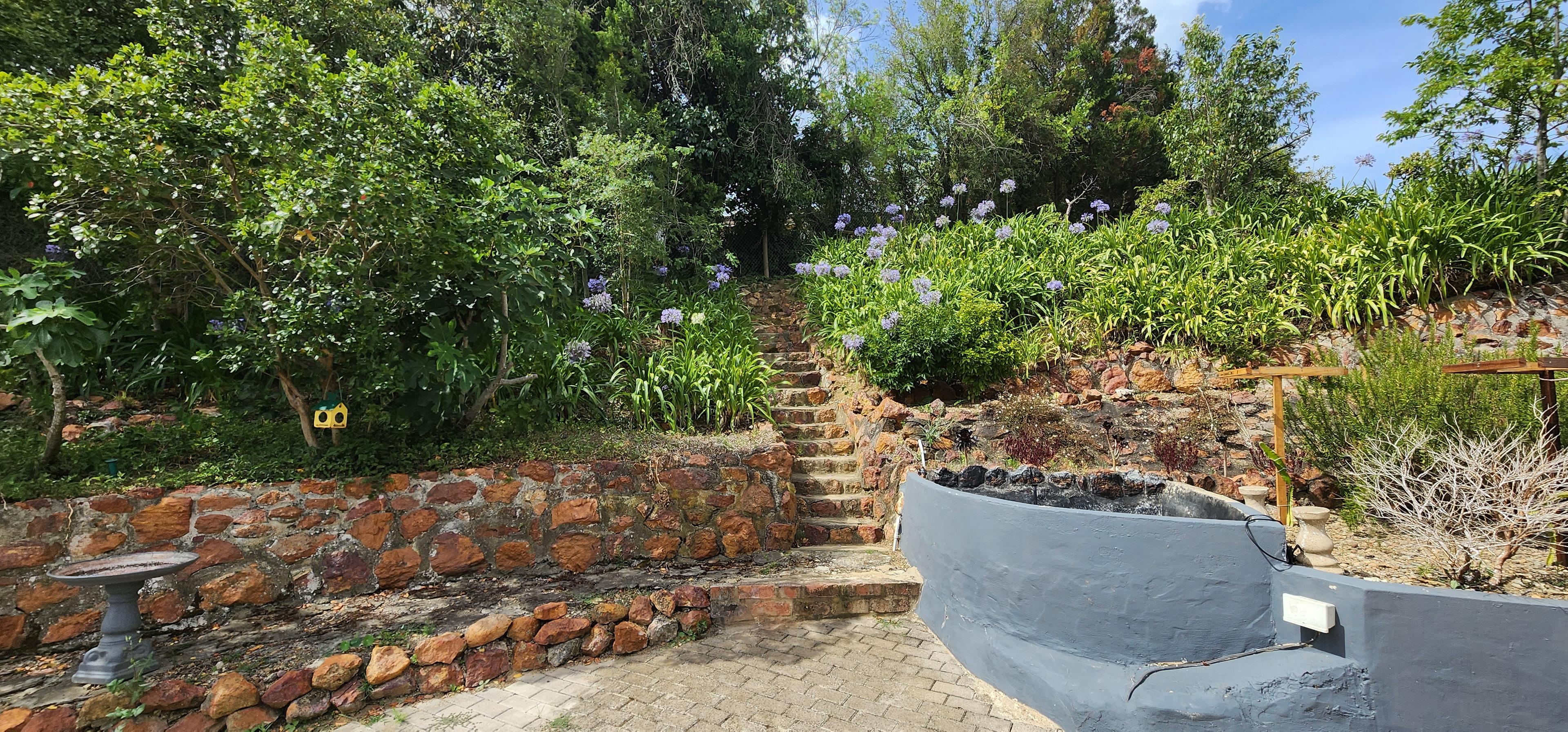 Image 40