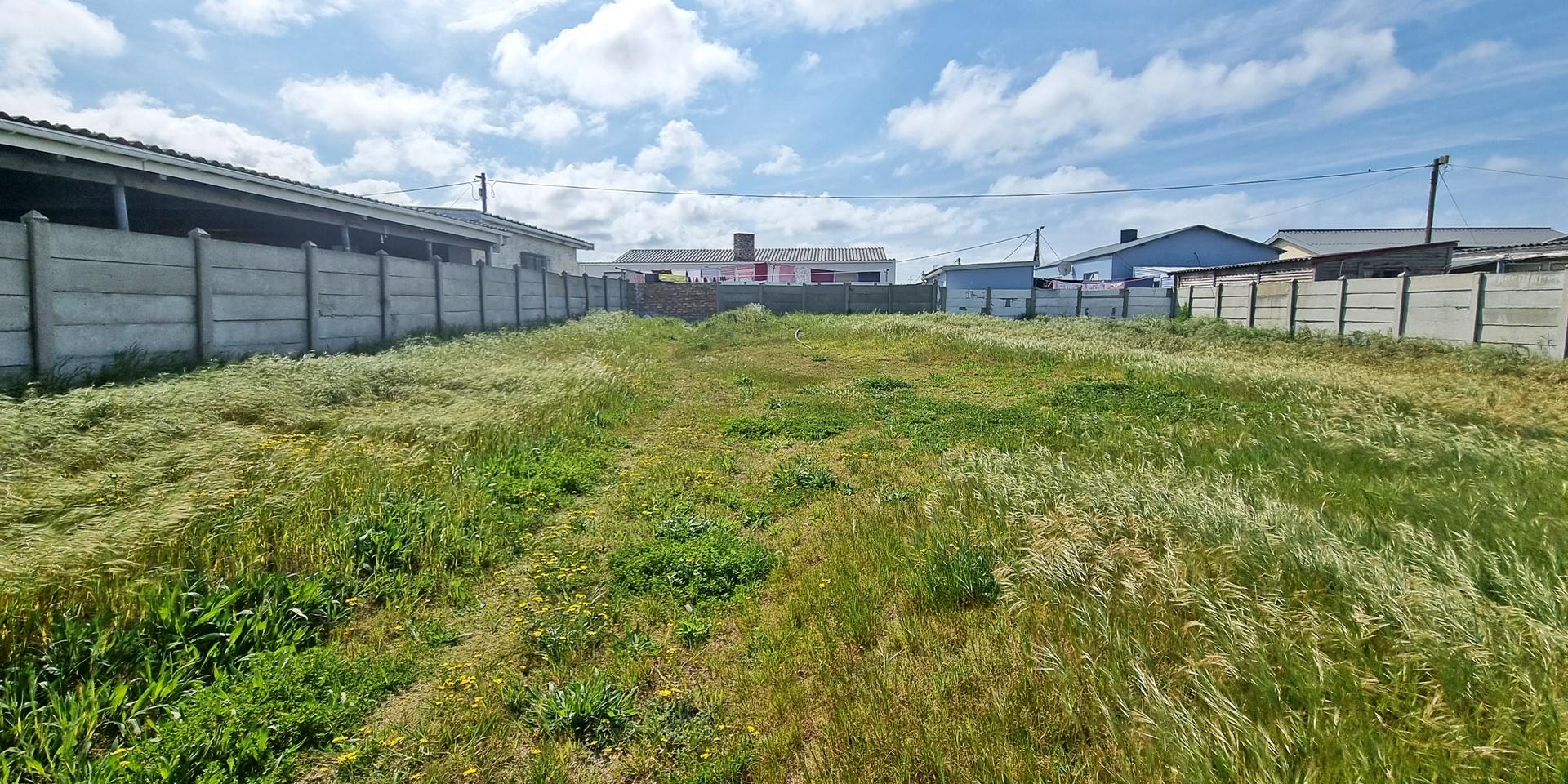 Image 4 of 6