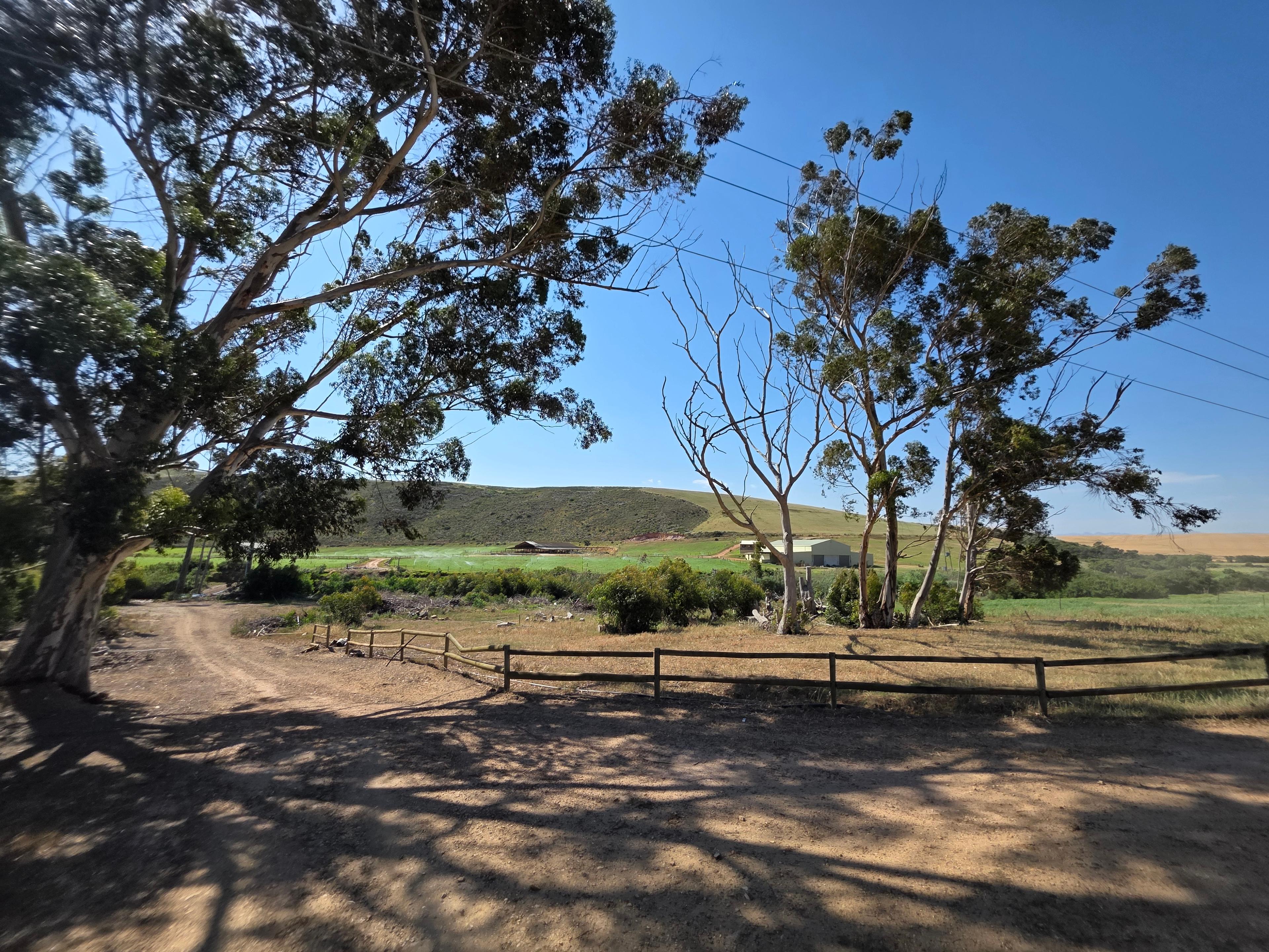 Image 12