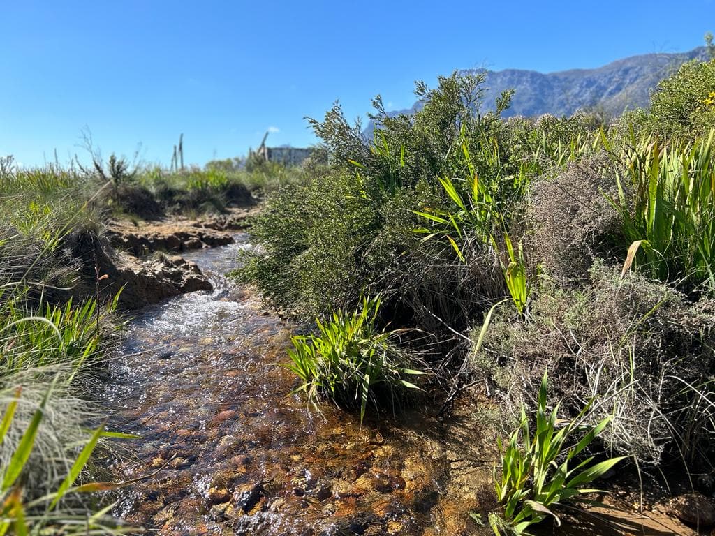 Image 5 of 6
