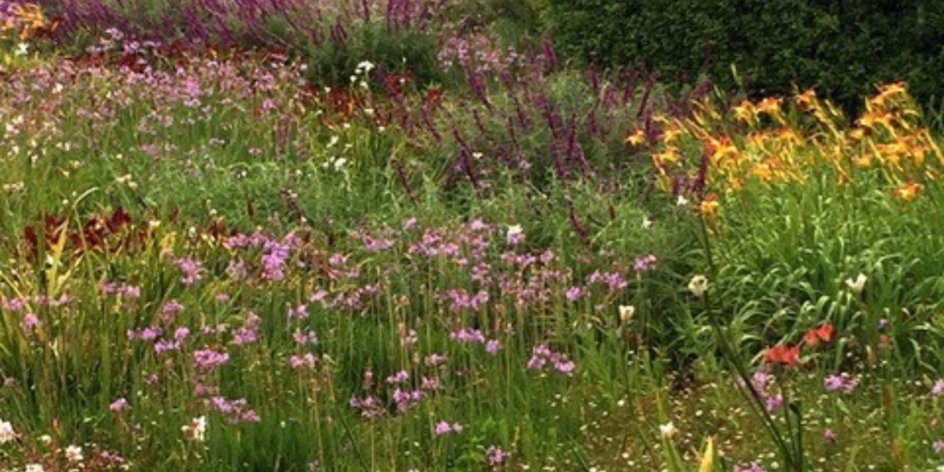 Image 5 of 6