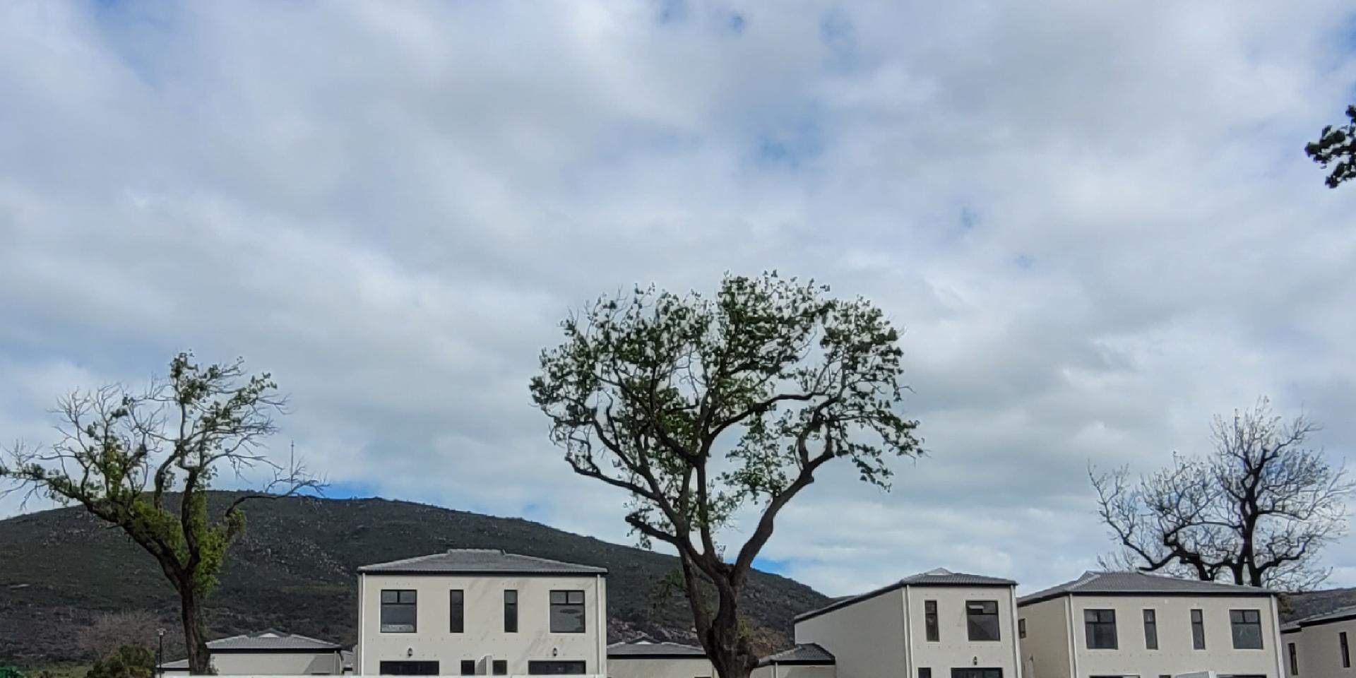 Image 5 of 6