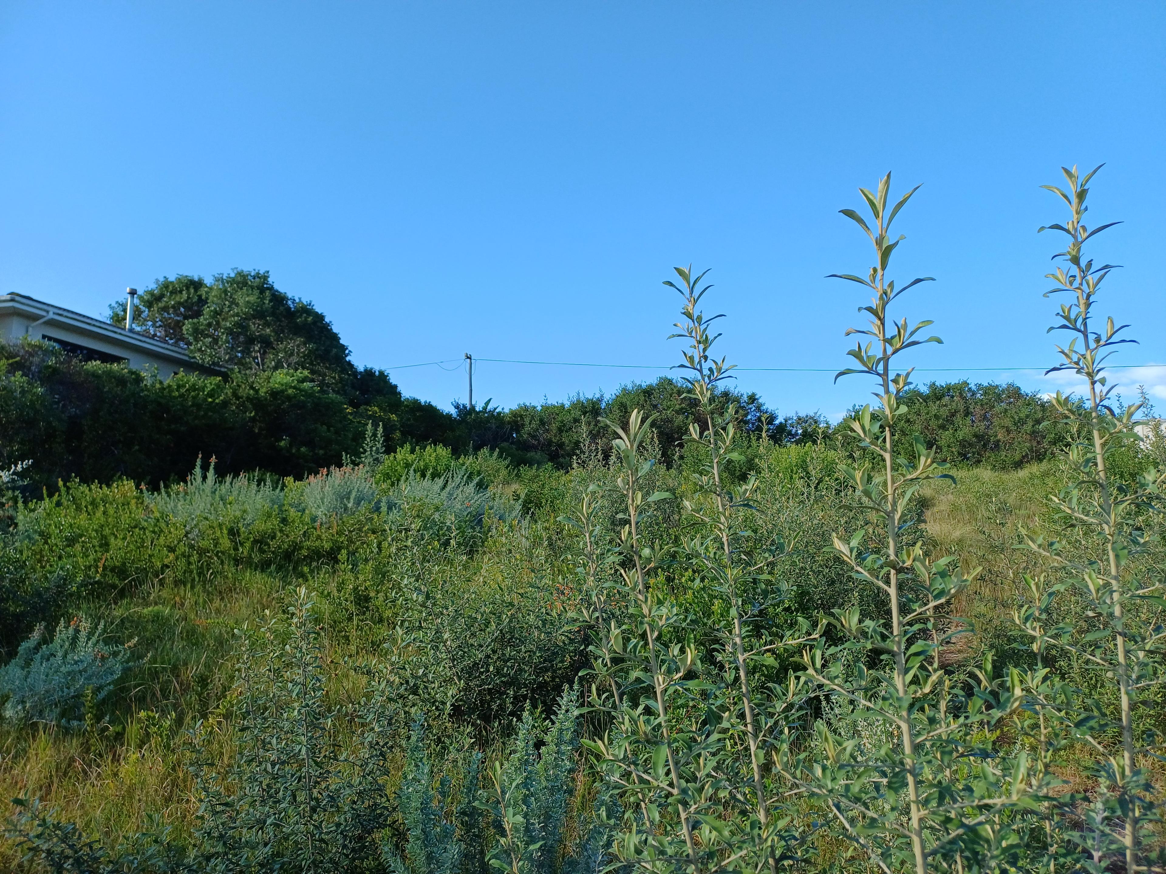 Image 18