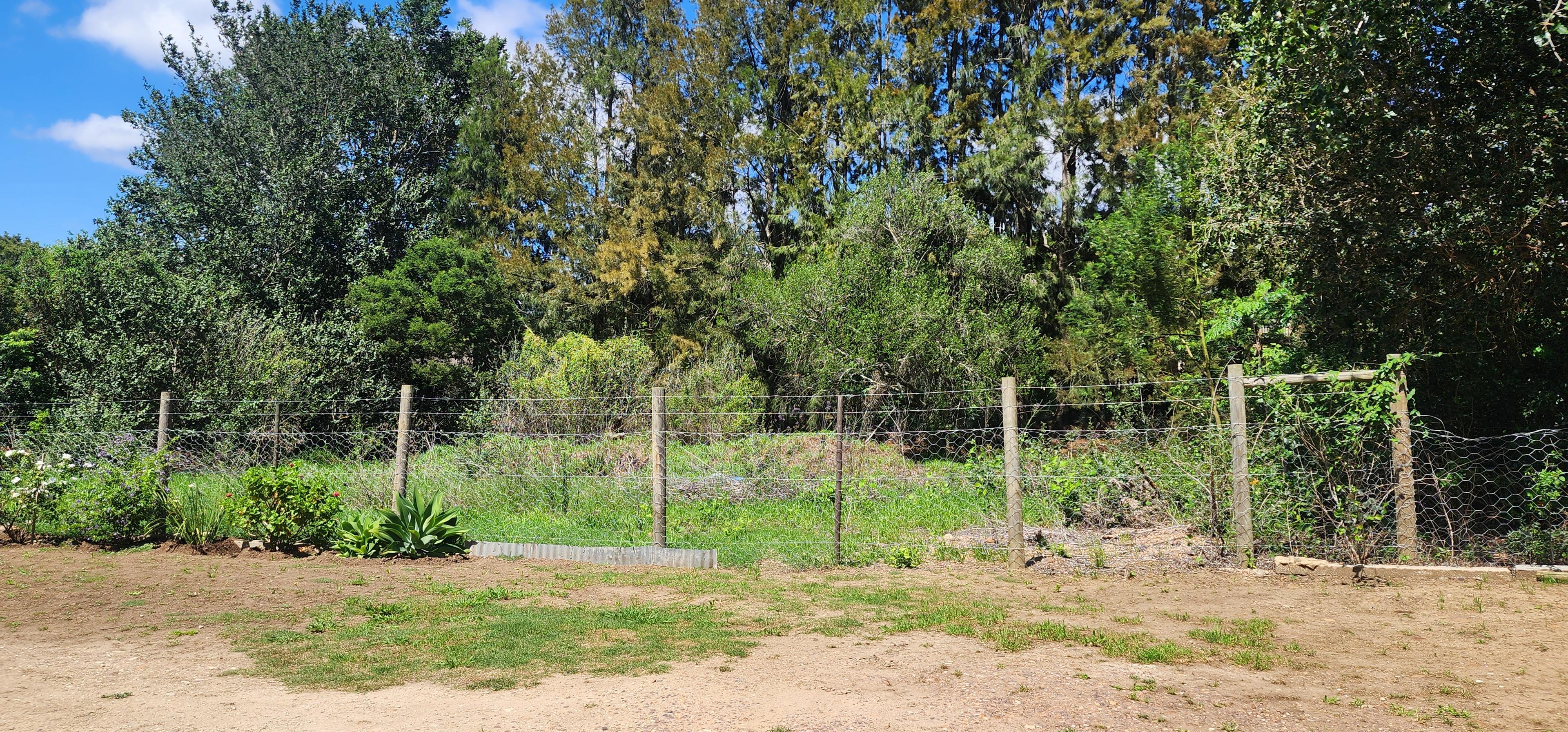 Image 13