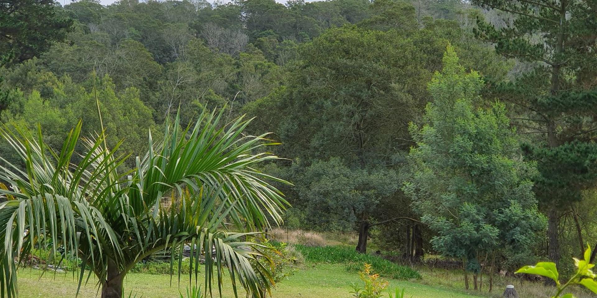 Image 5 of 6