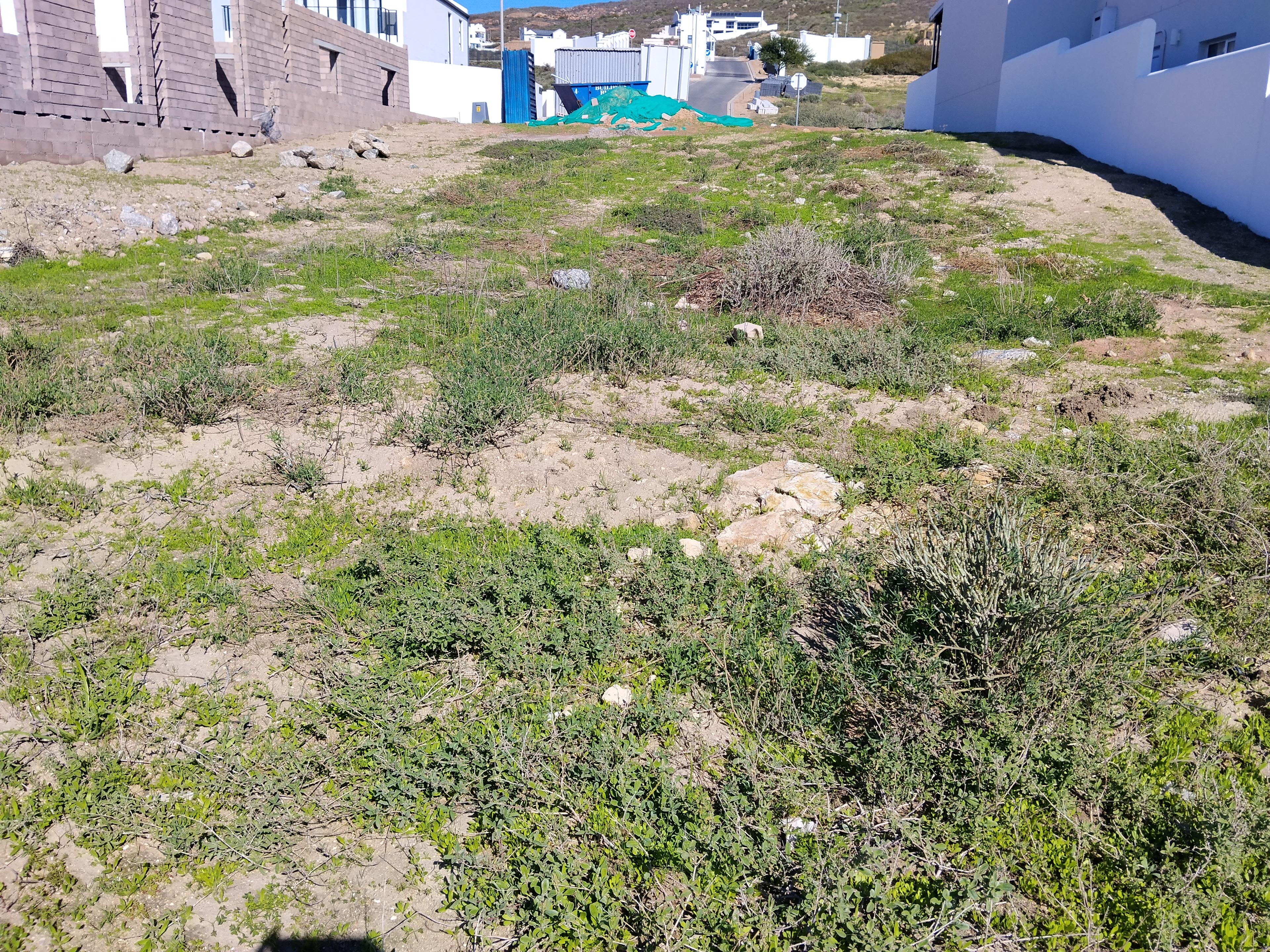 Image 4 of 6