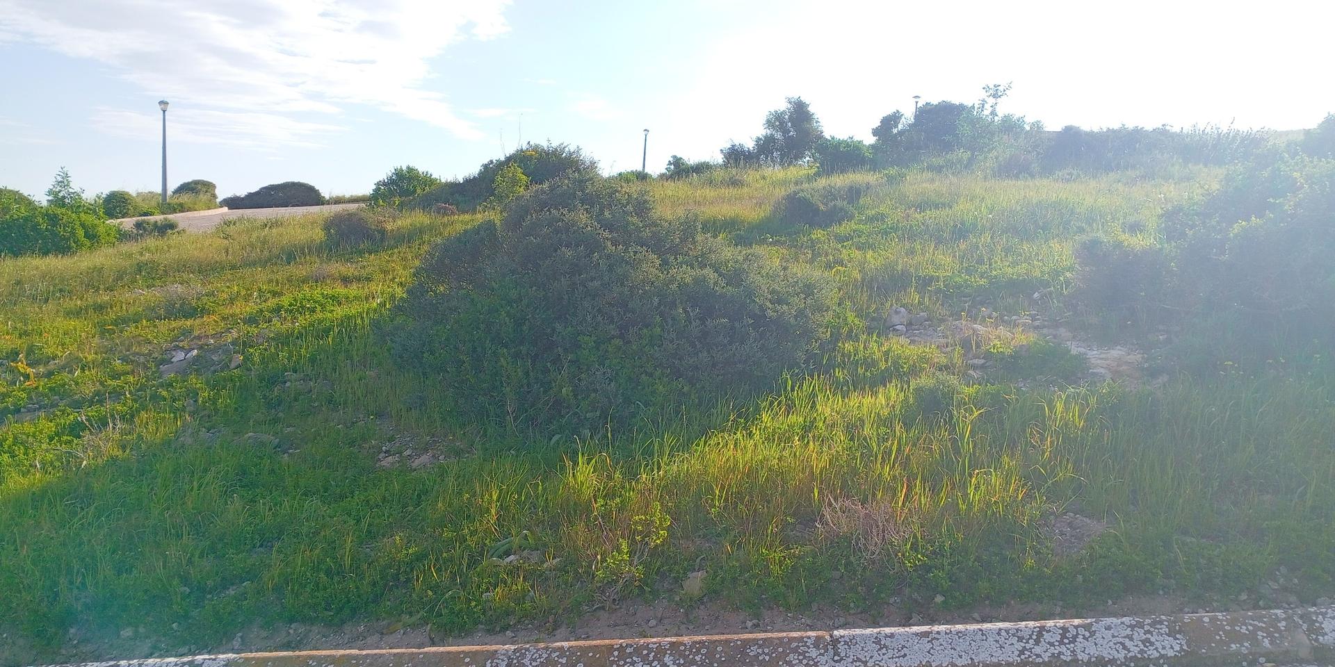 Image 4 of 6