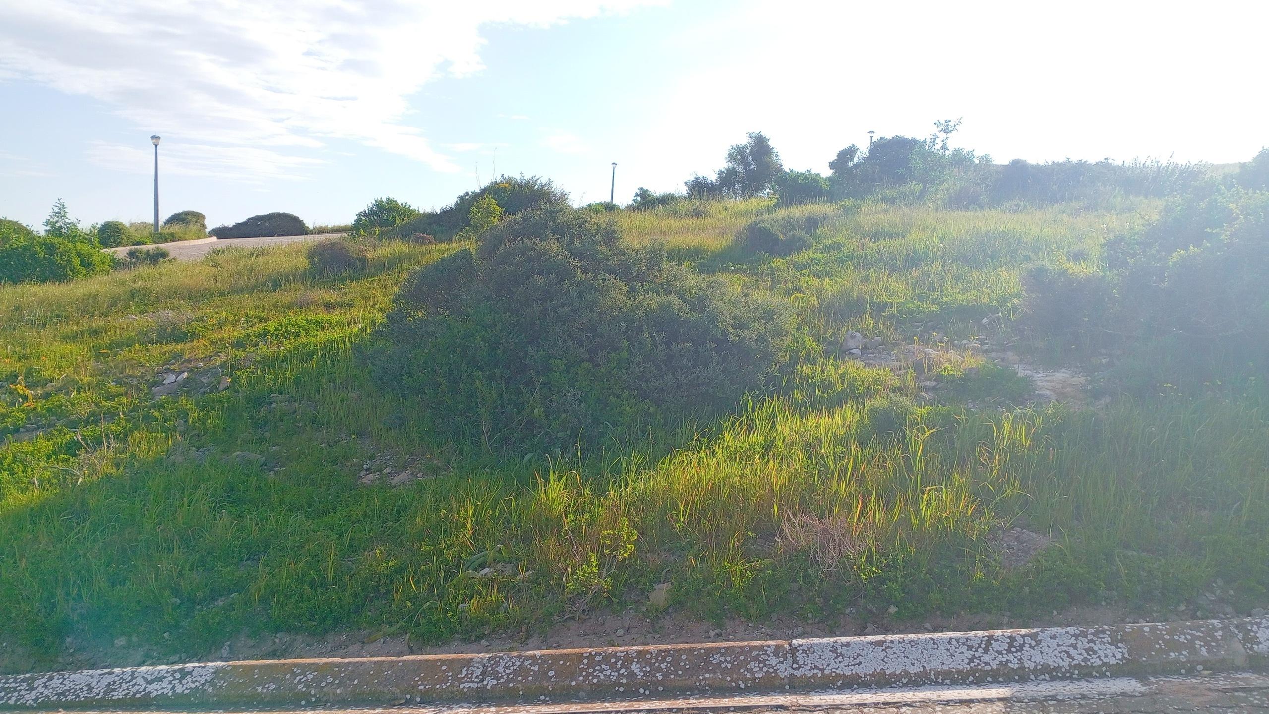 Image 4 of 6