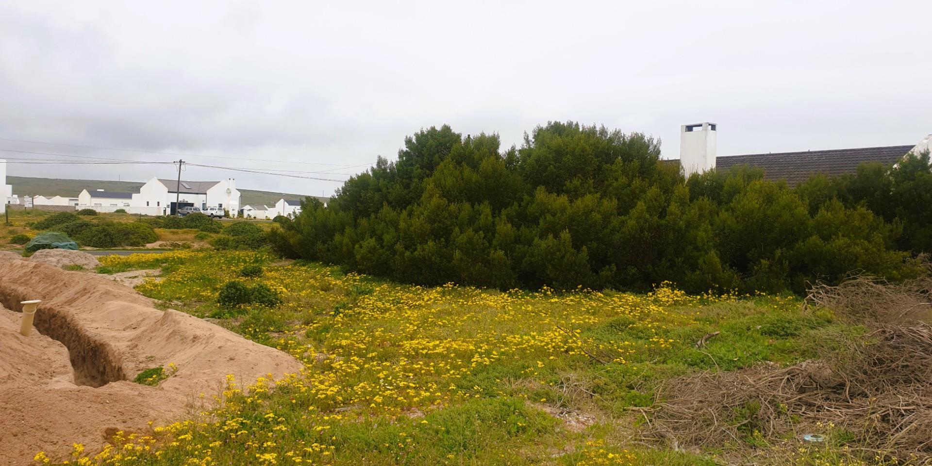 Image 5 of 6