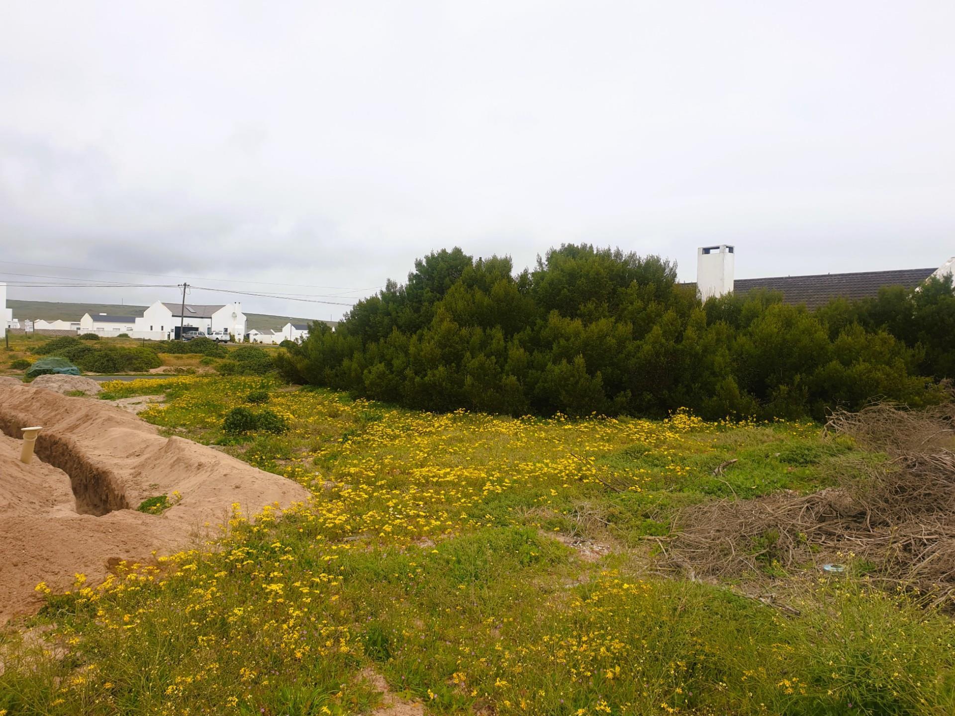 Image 5 of 6