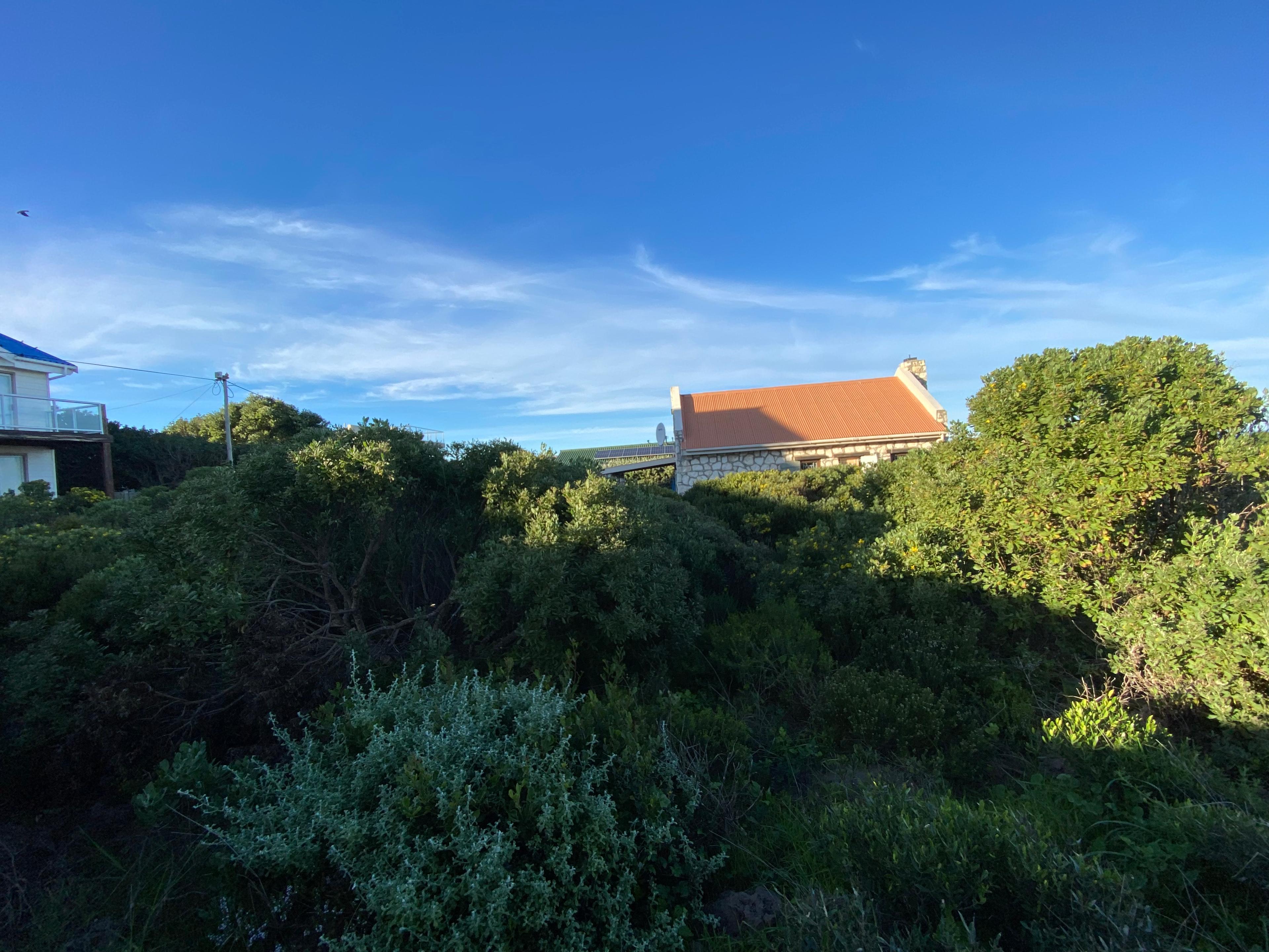 Image 8