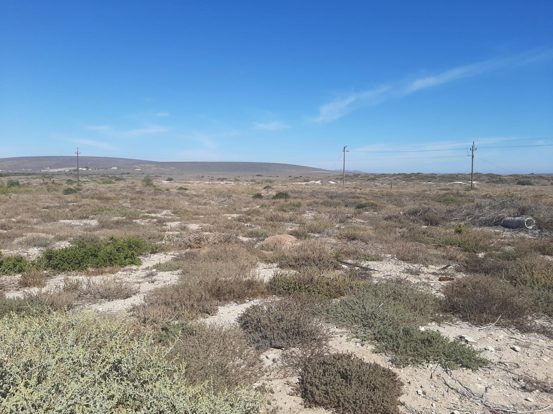Image 15