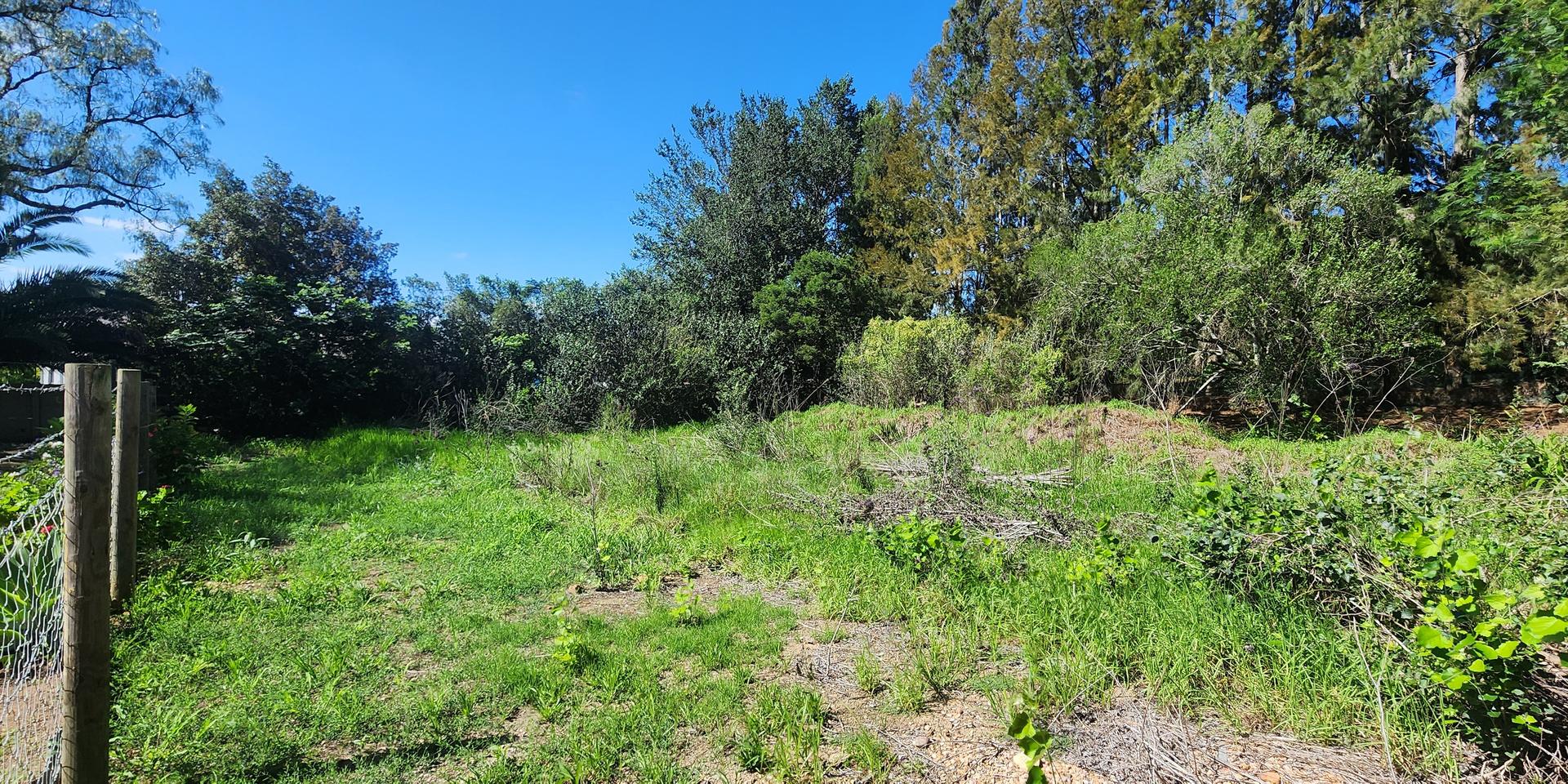 Image 2 of 6