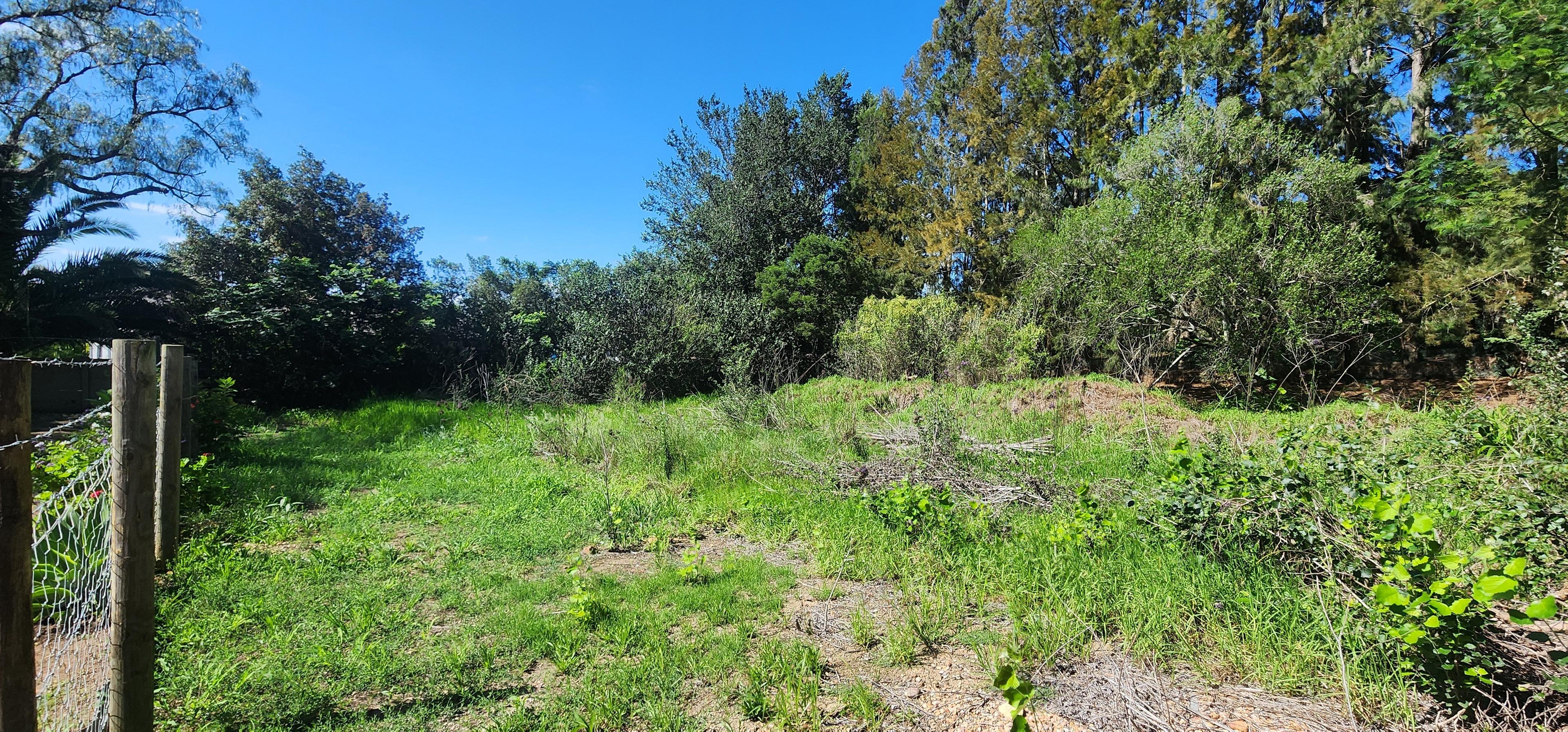 Image 2 of 6