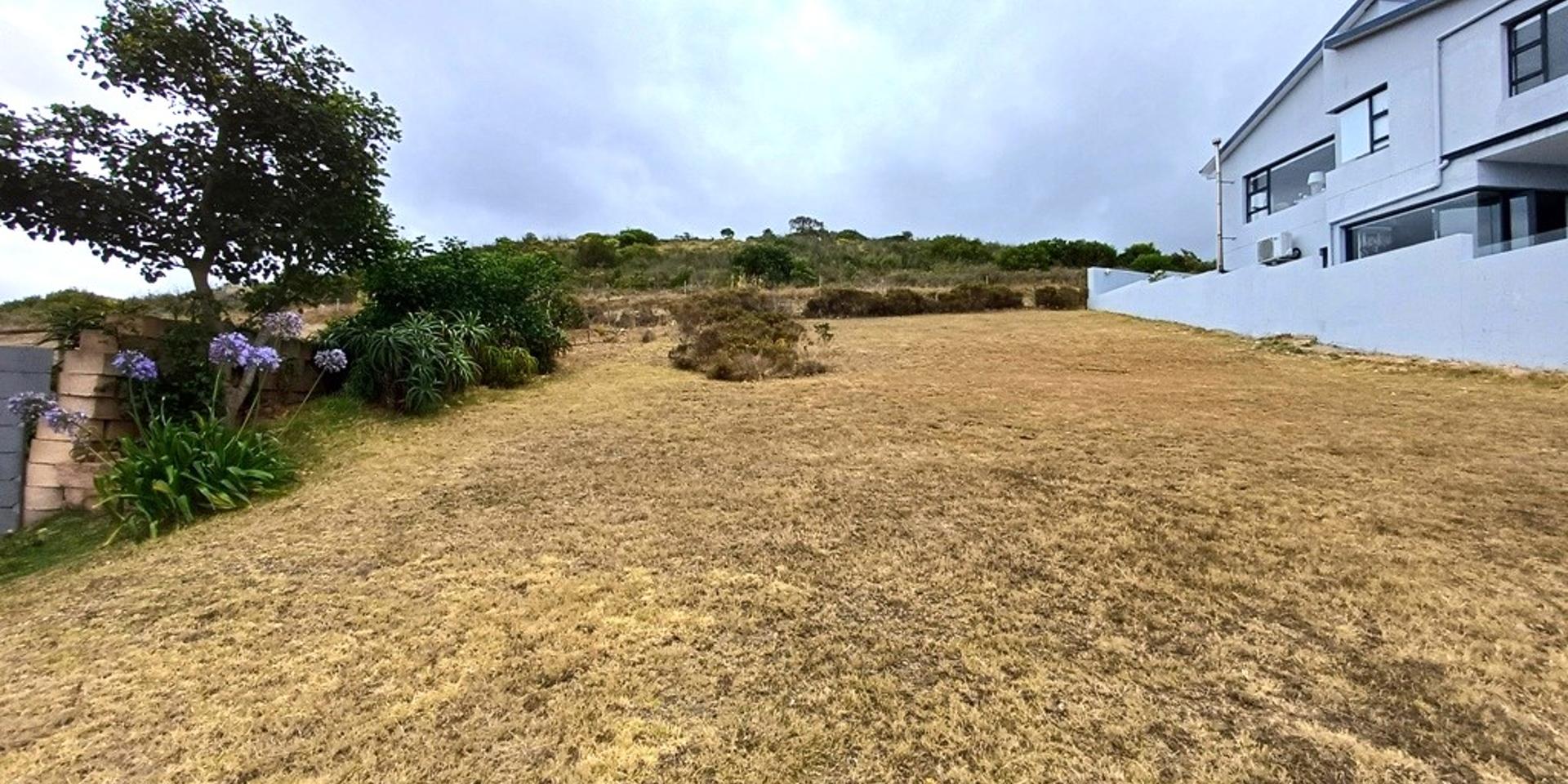 Image 4 of 6