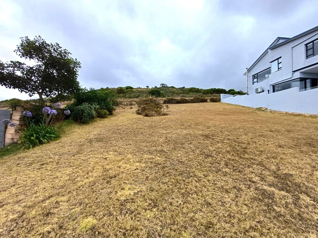 Image 4 of 6
