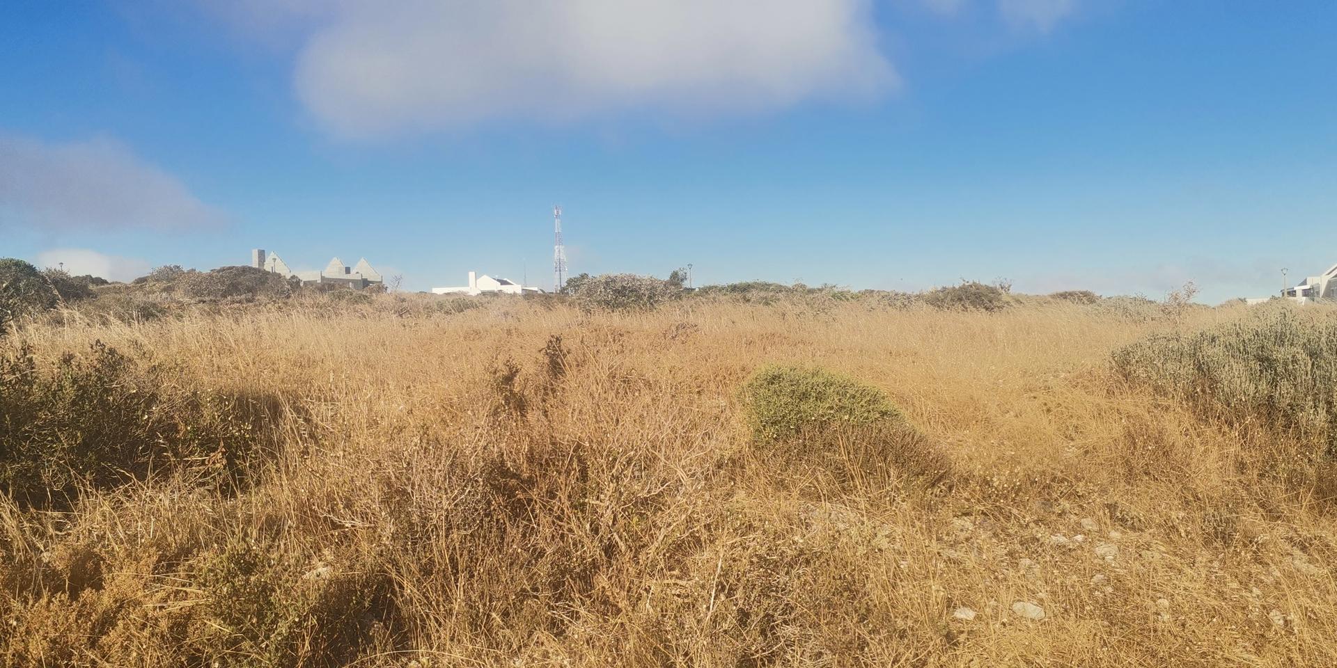 Image 4 of 6